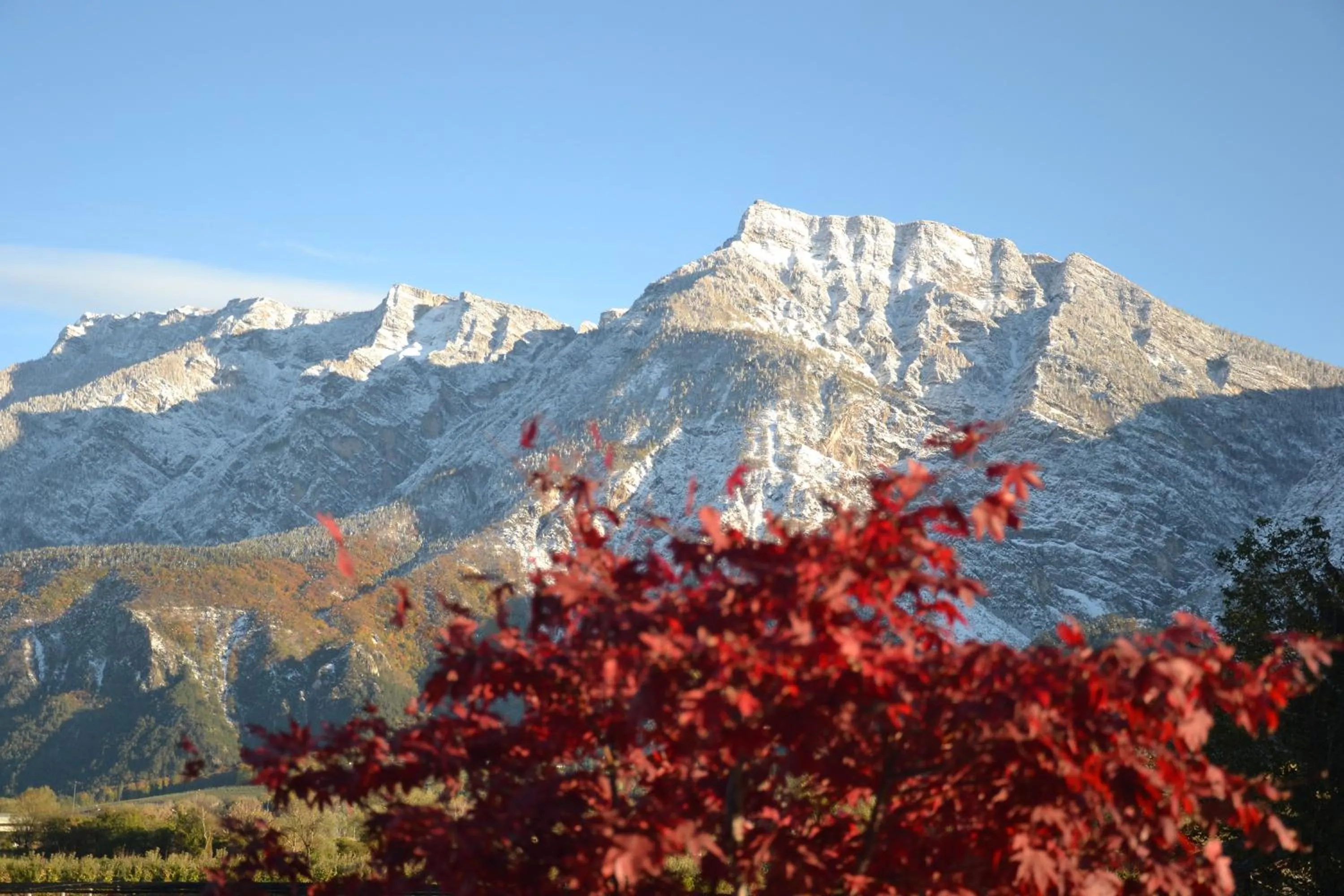 Al Brenta
