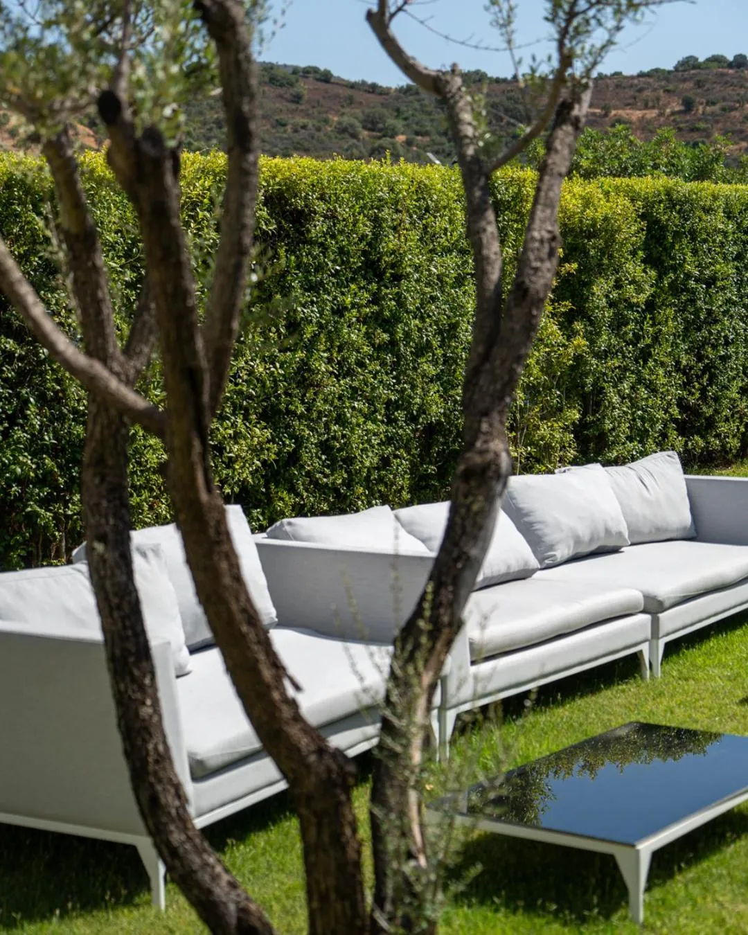 Garden in Hotel San Teodoro