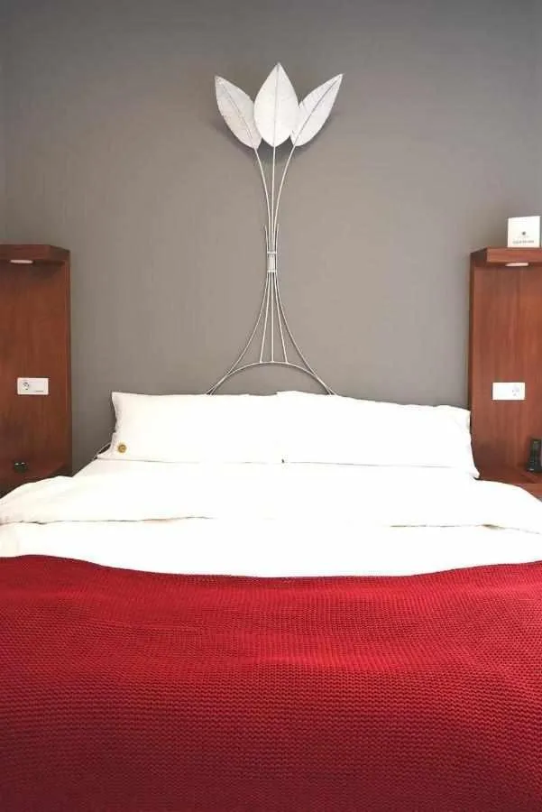 Bed in Delmás Hotel Emblemático