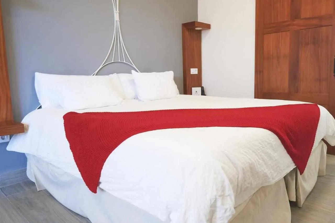 Bed in Delmás Hotel Emblemático