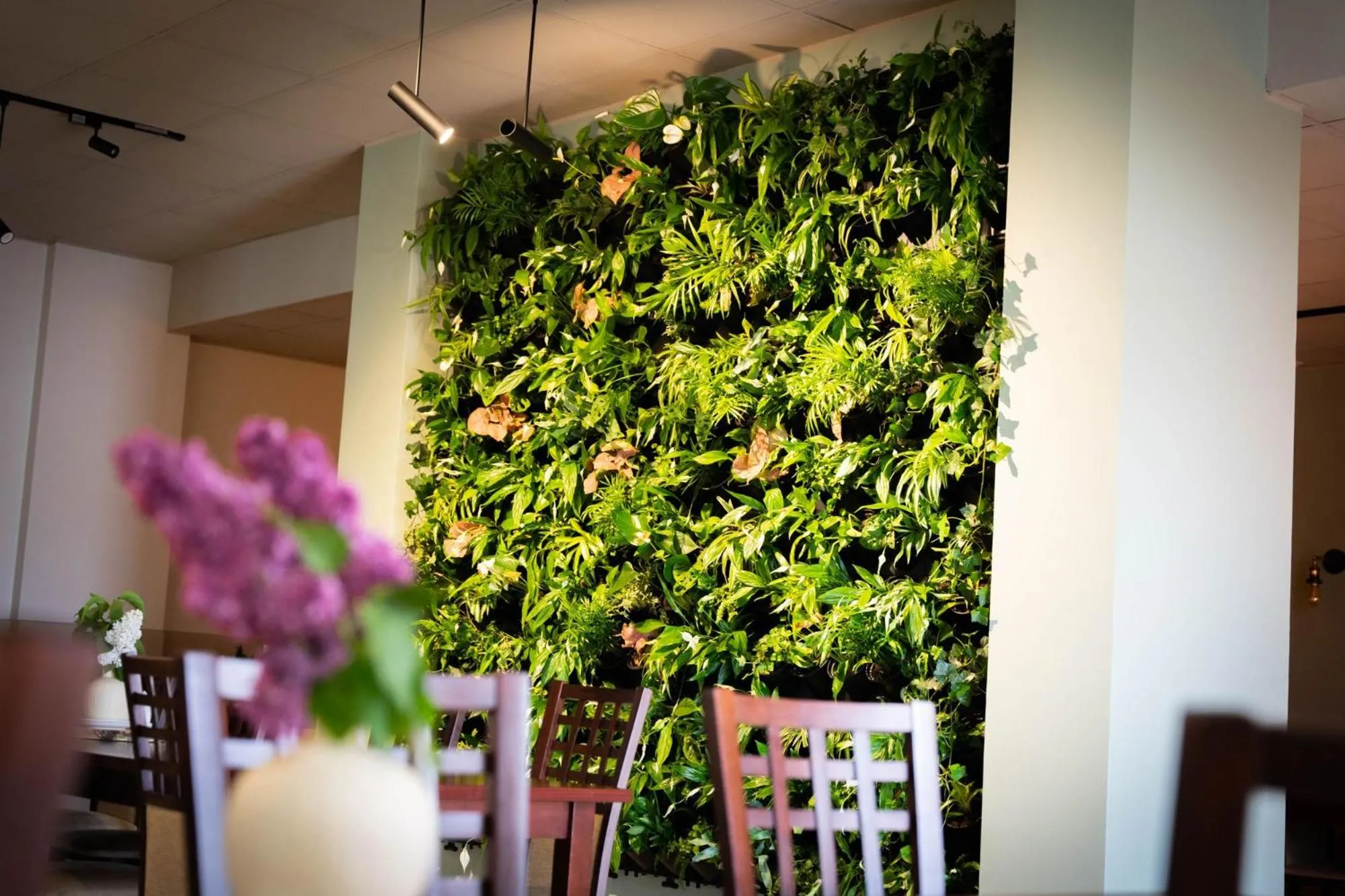 Restaurant/places to eat in Hotel Anek