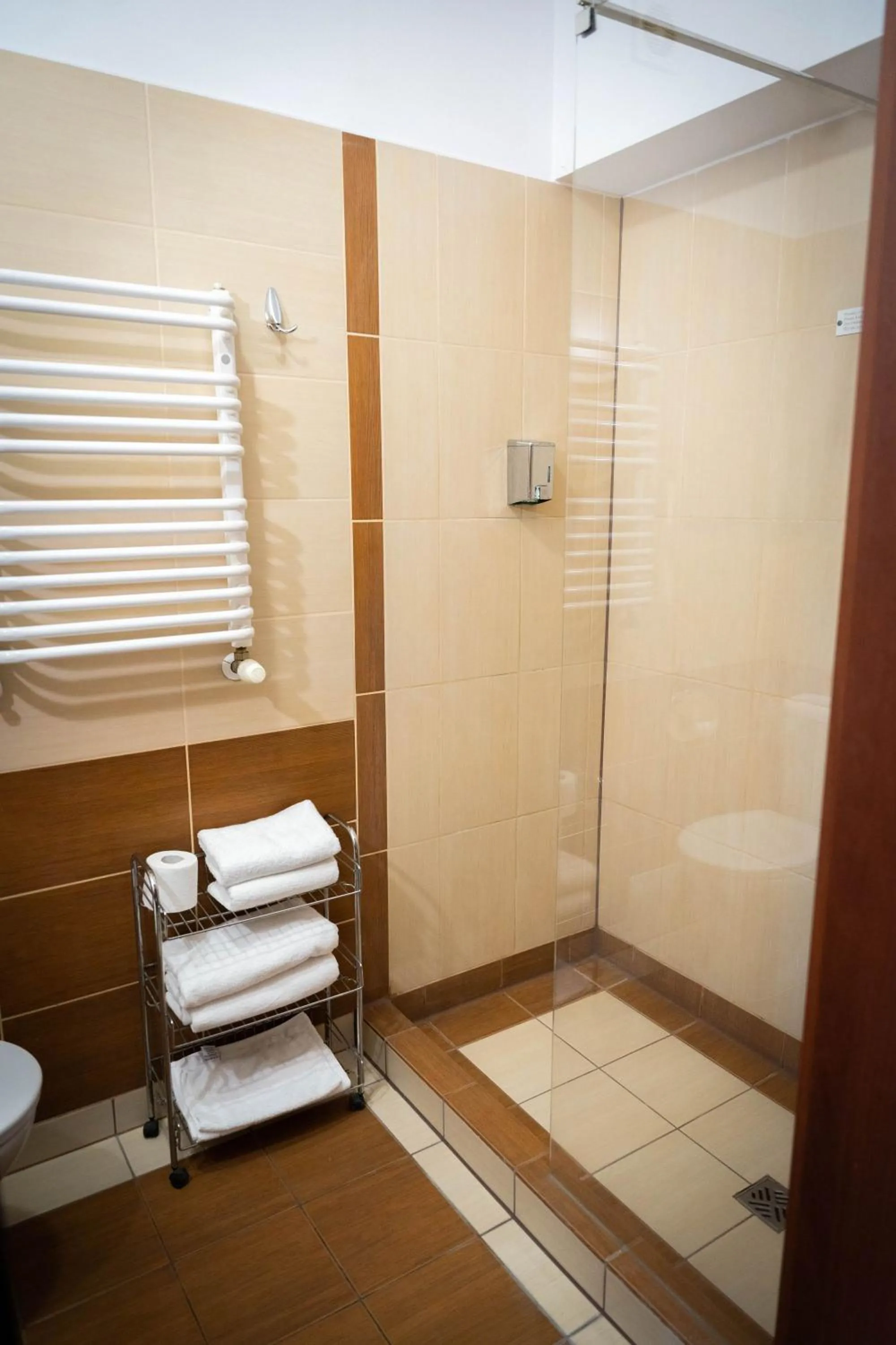Shower in Hotel Anek
