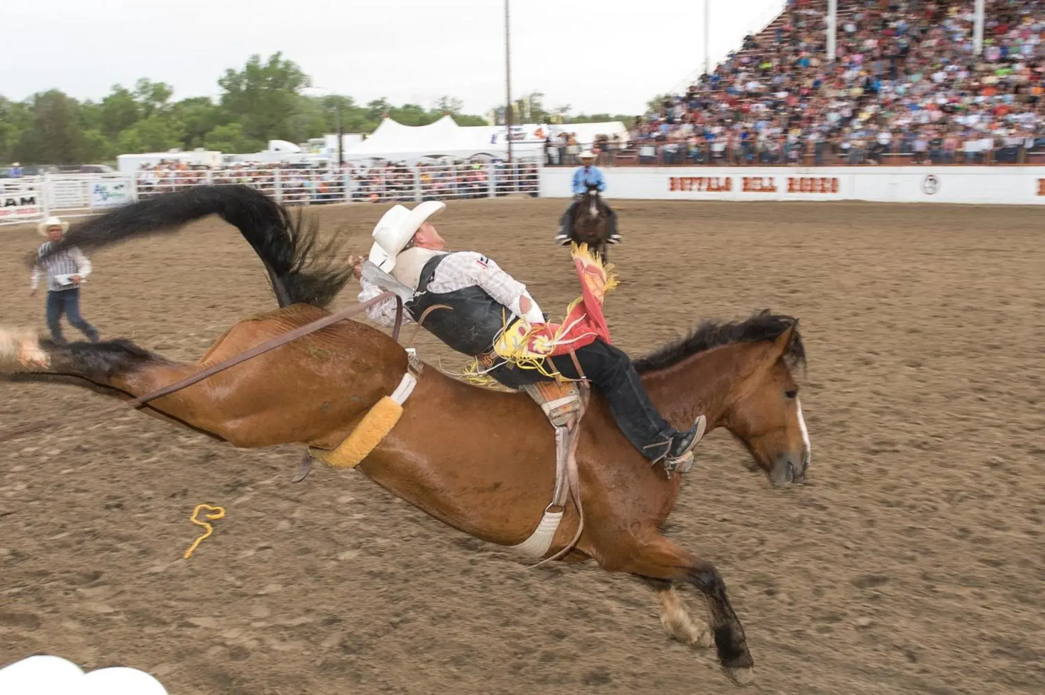 Holiday Inn Express & Suites North Platte by IHG Holiday Inn Express & Suites North Platte by IHG