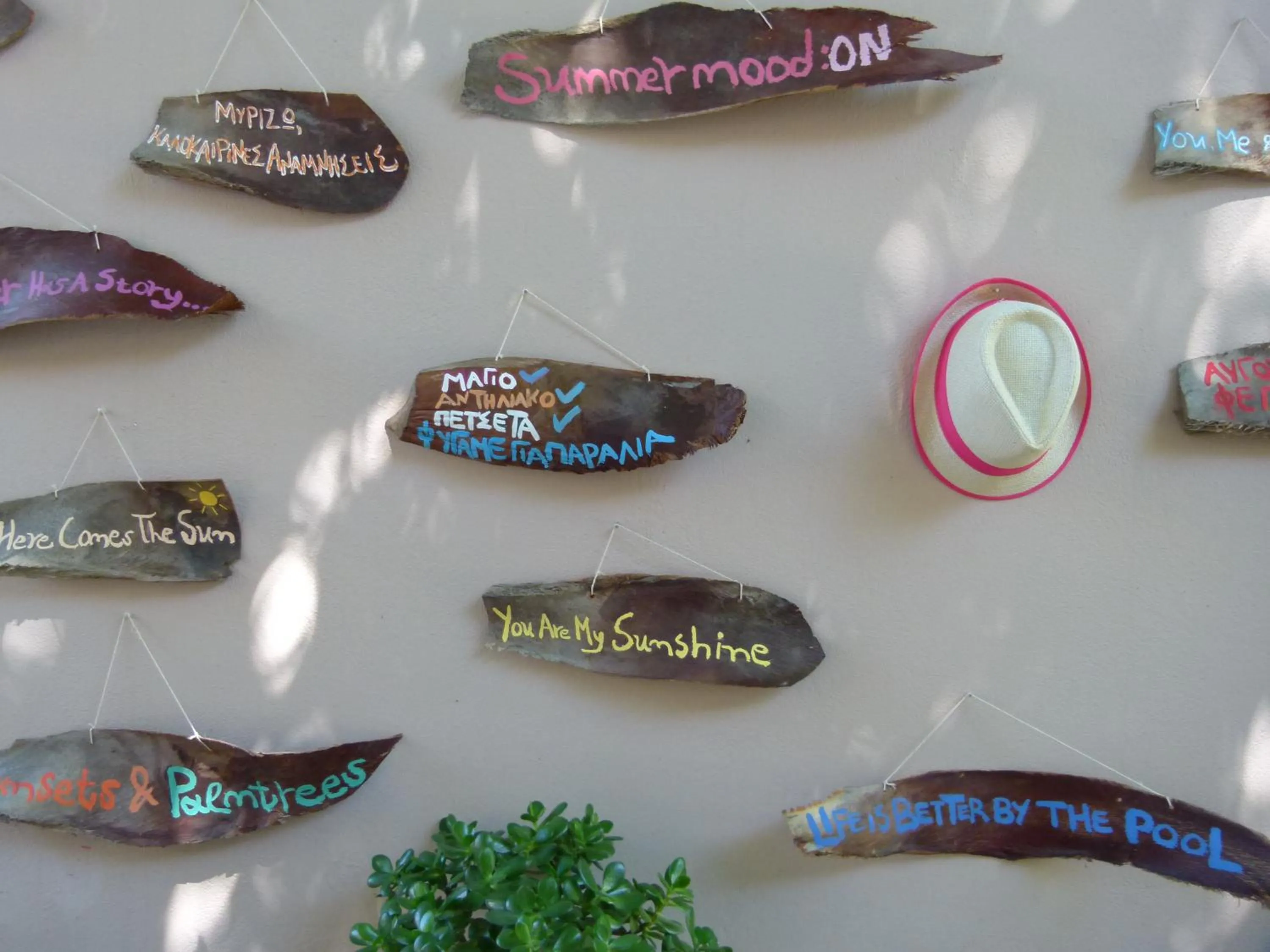 Area and facilities in Sun Rise Hotel Apartments