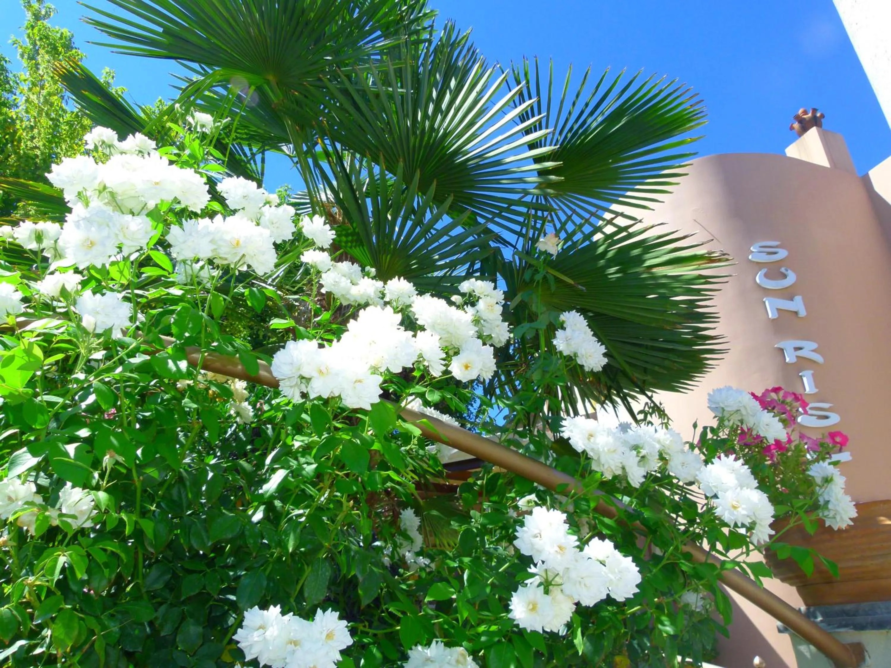 Garden in Sun Rise Hotel Apartments