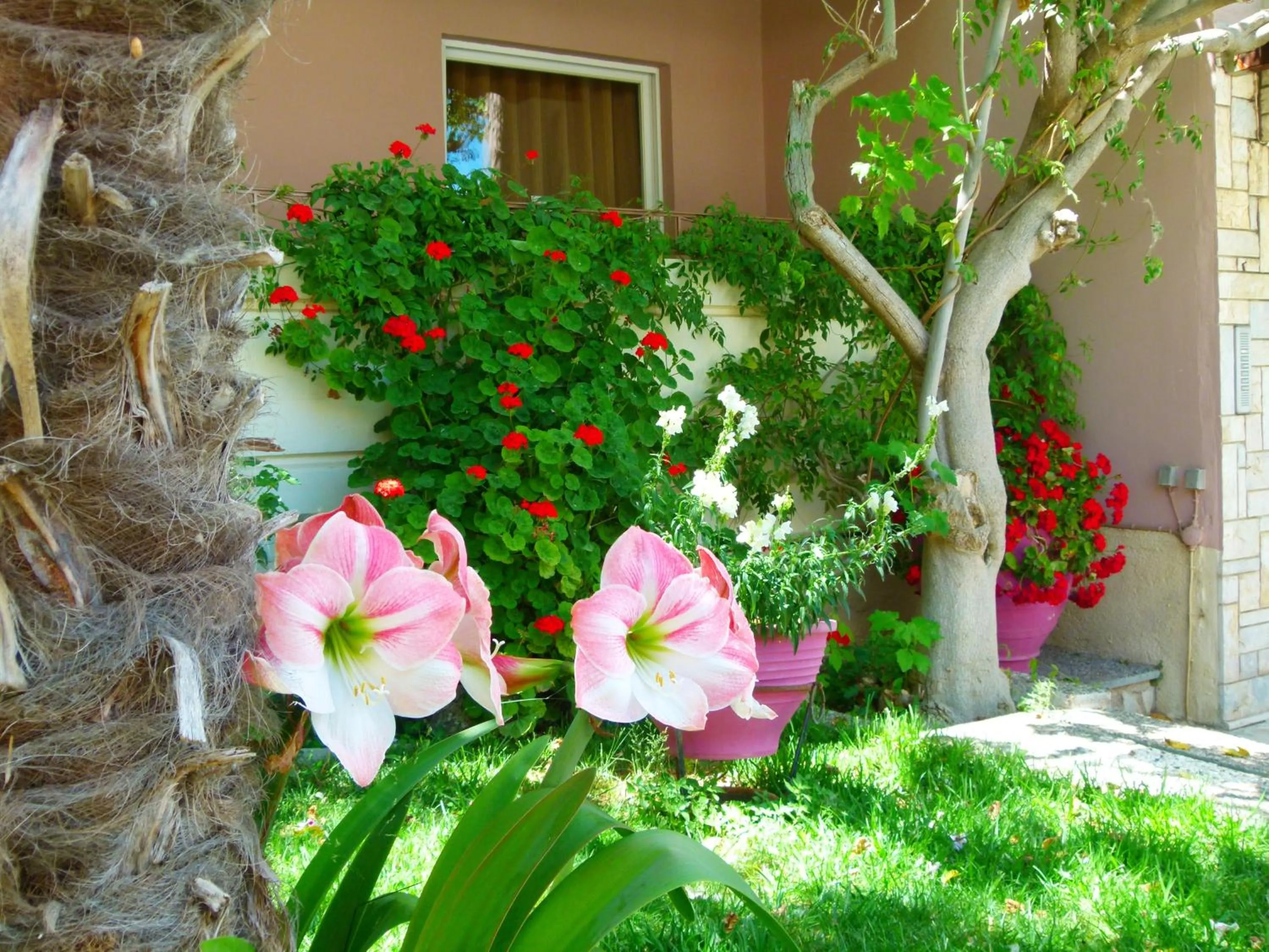 Facade/entrance in Sun Rise Hotel Apartments