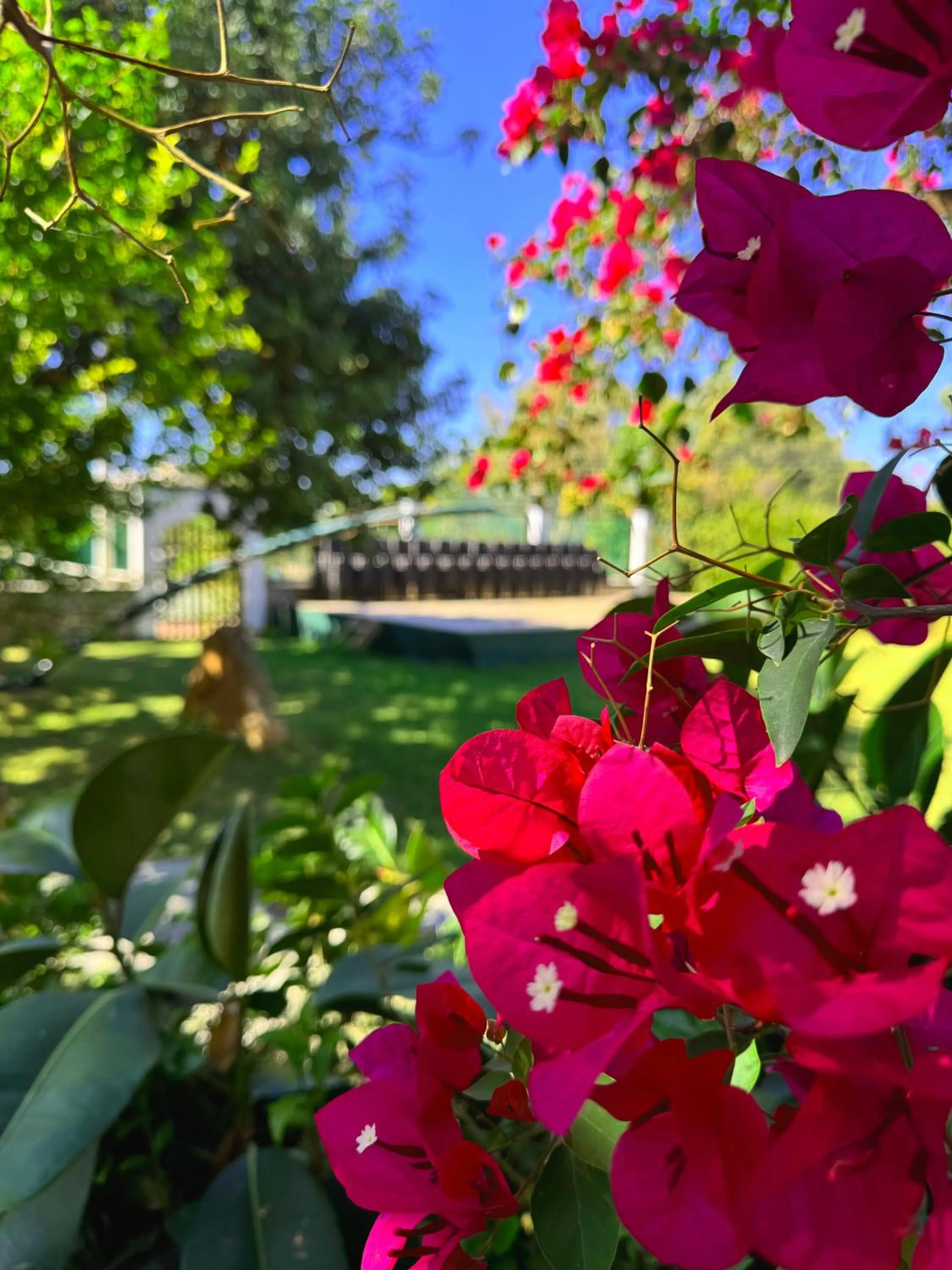 Garden in Sun Rise Hotel Apartments