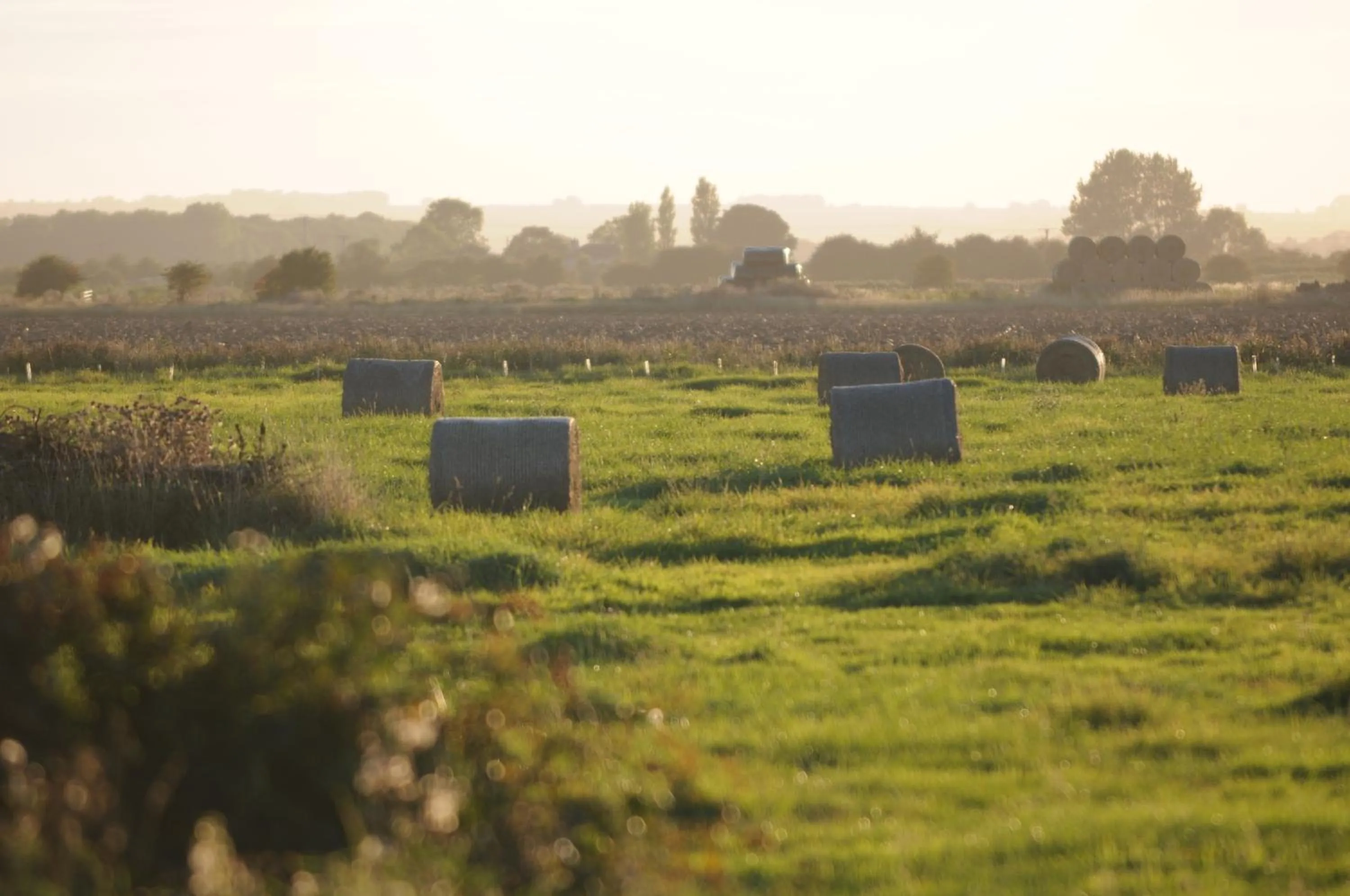 View (from property/room) in Manor Farm Stay
