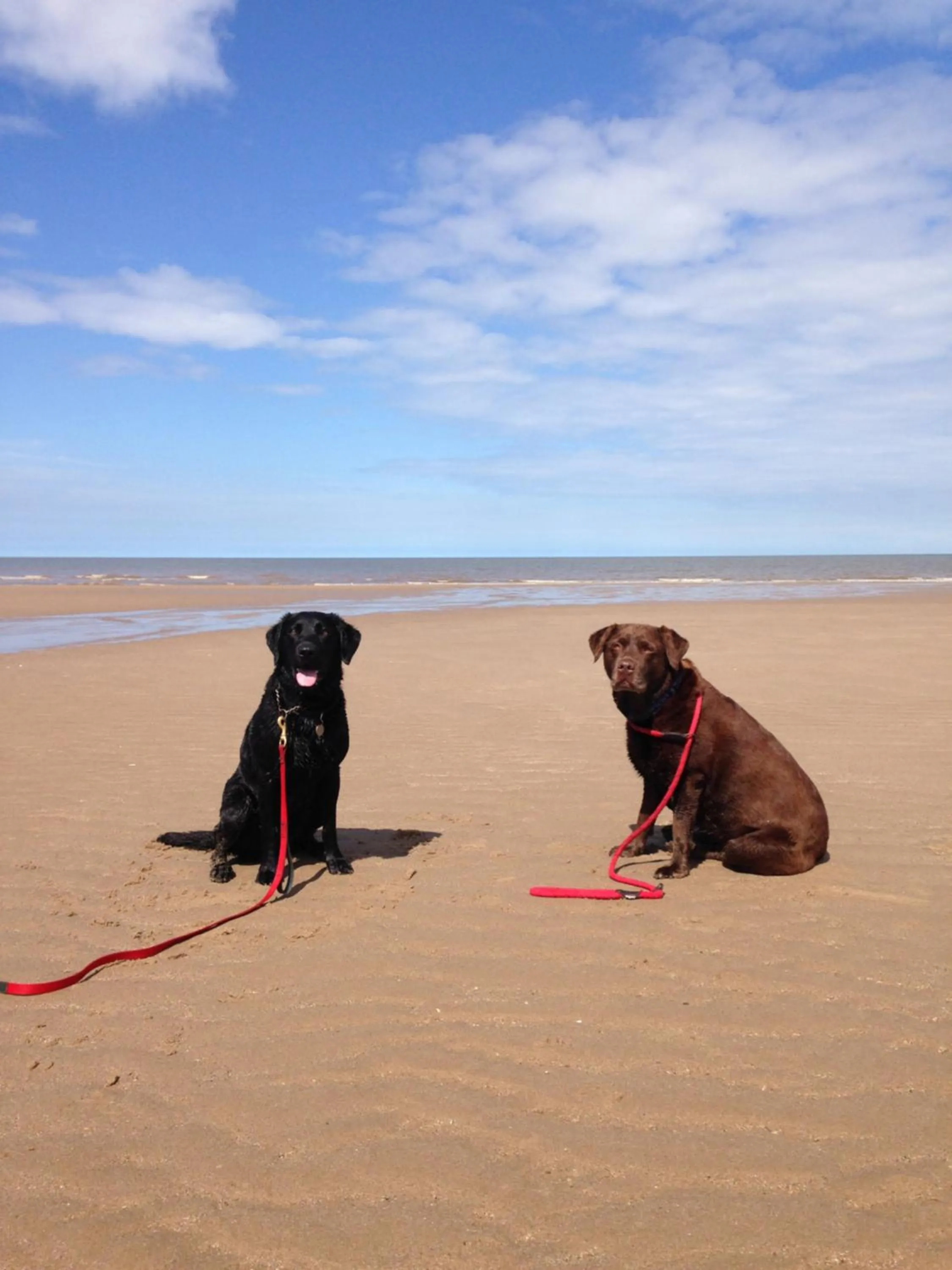 Beach in Manor Farm Stay