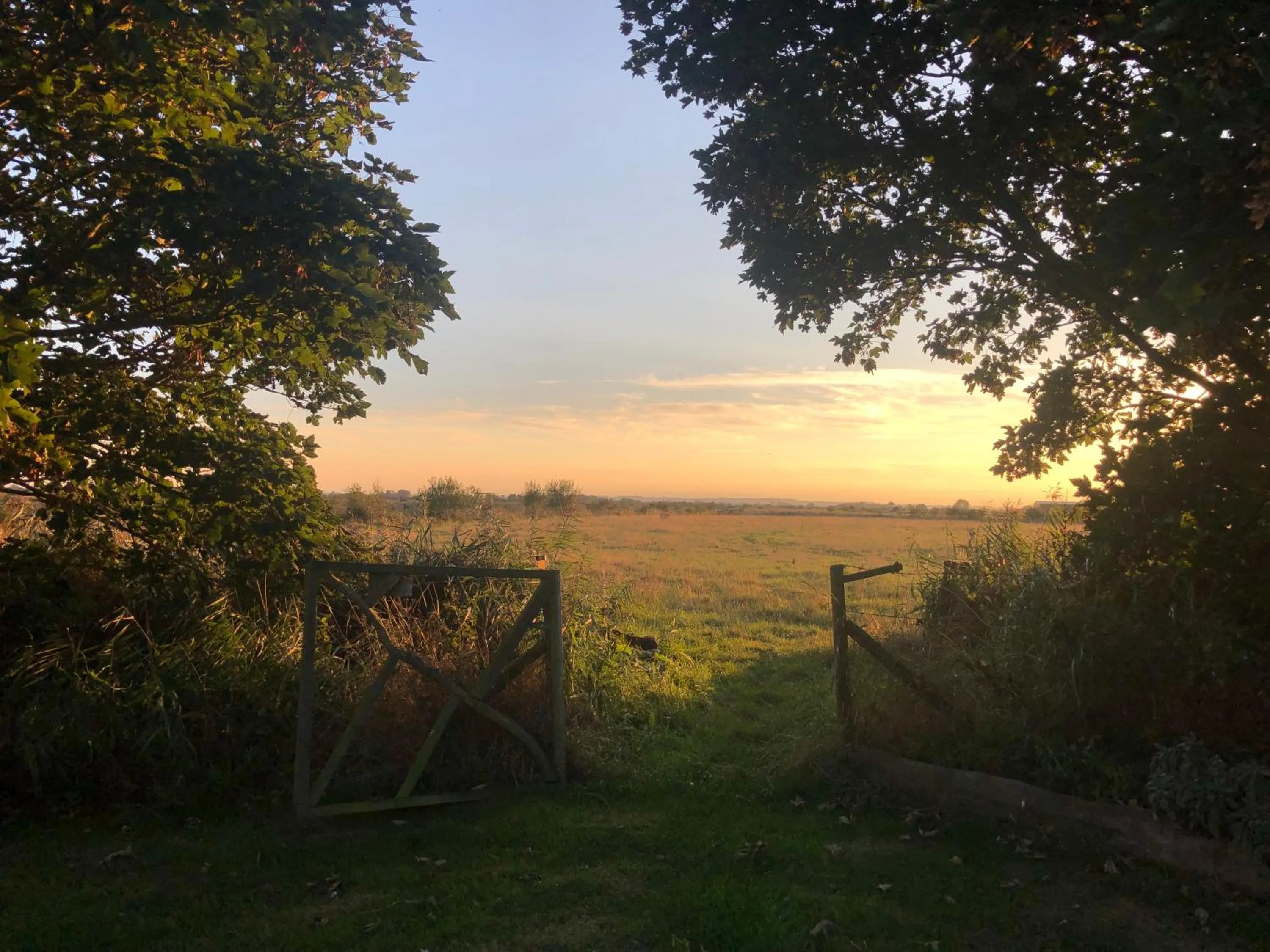 Natural landscape in Manor Farm Stay