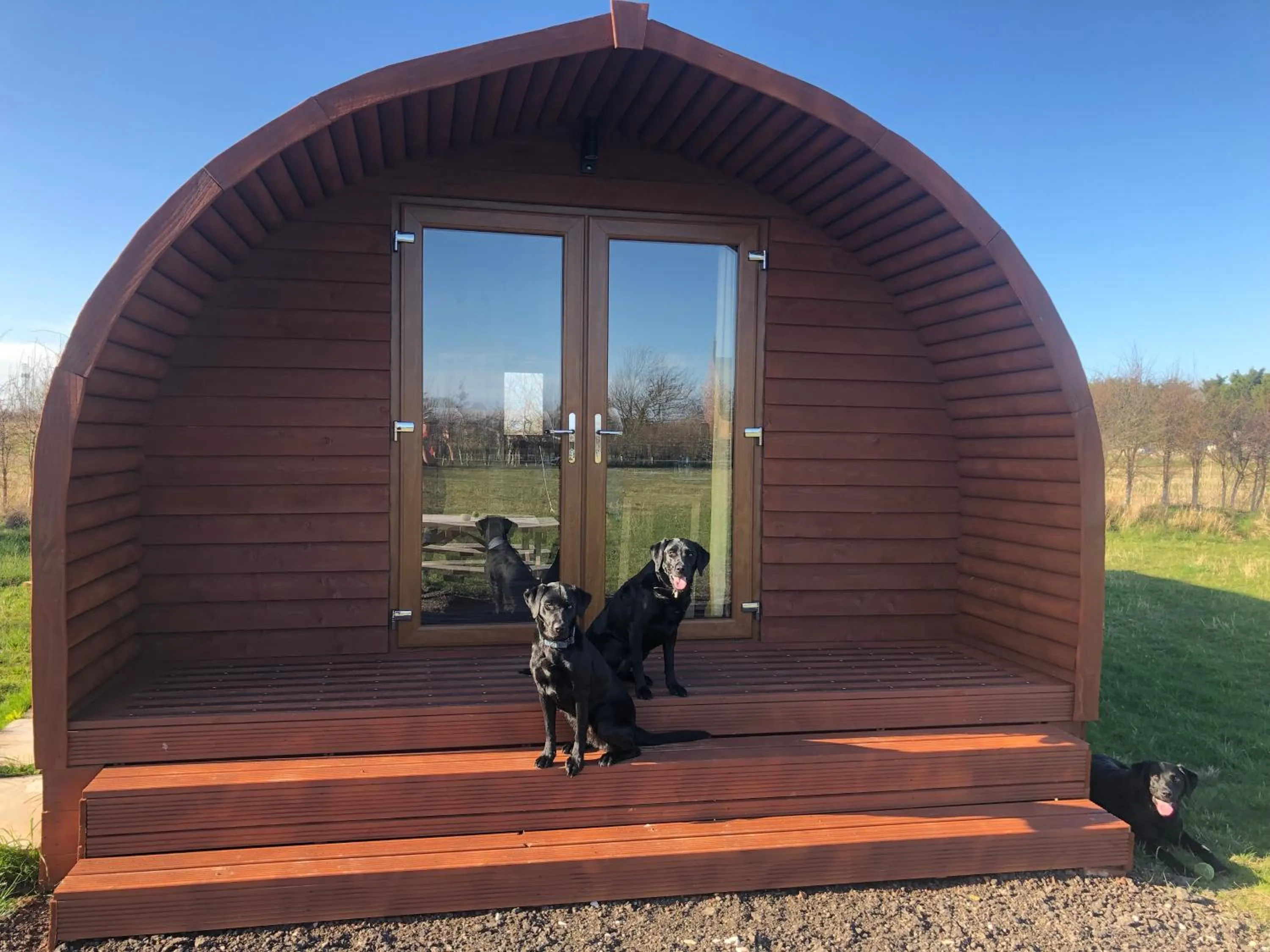 Pets in Manor Farm Stay