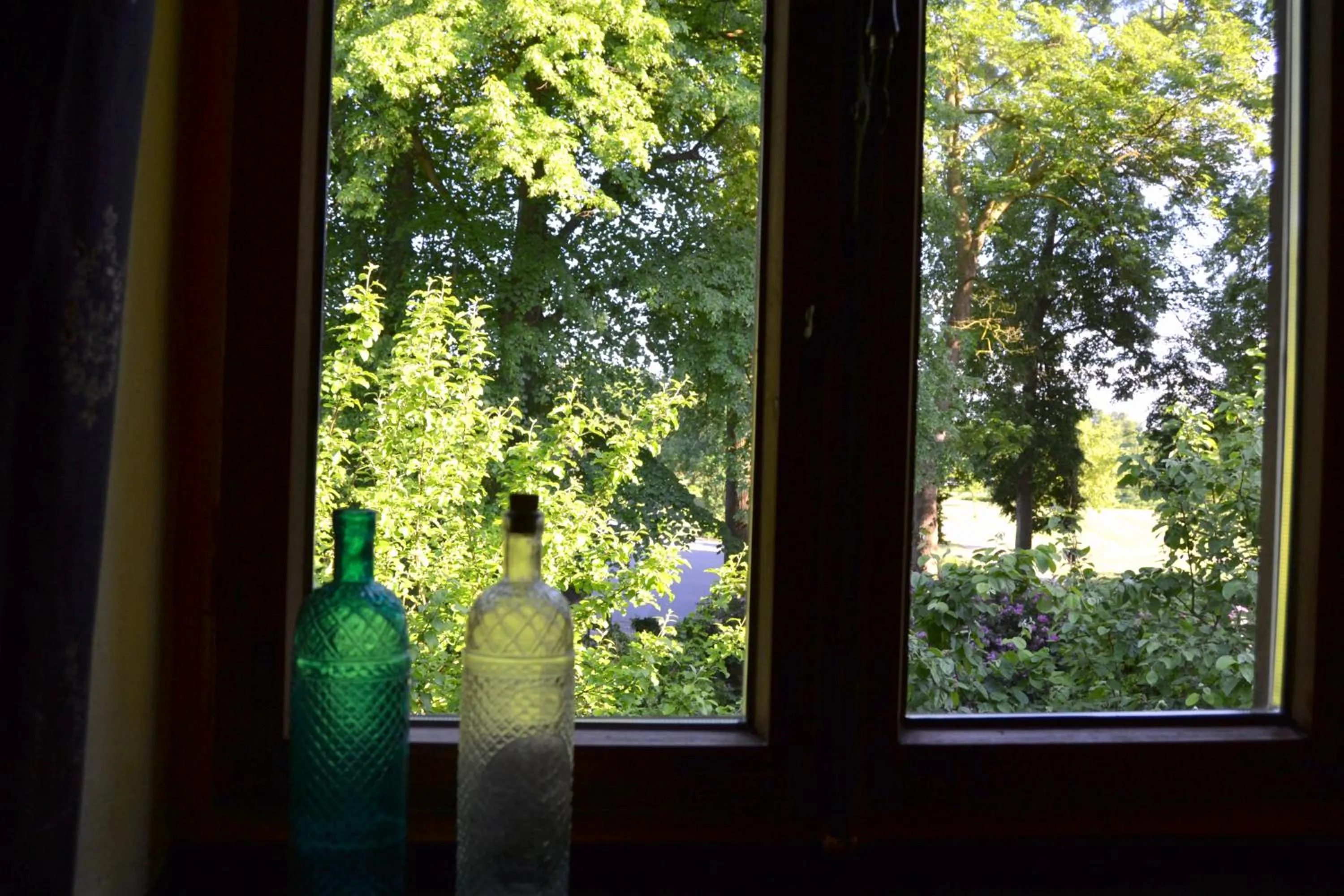 Garden view in Gottesgabe