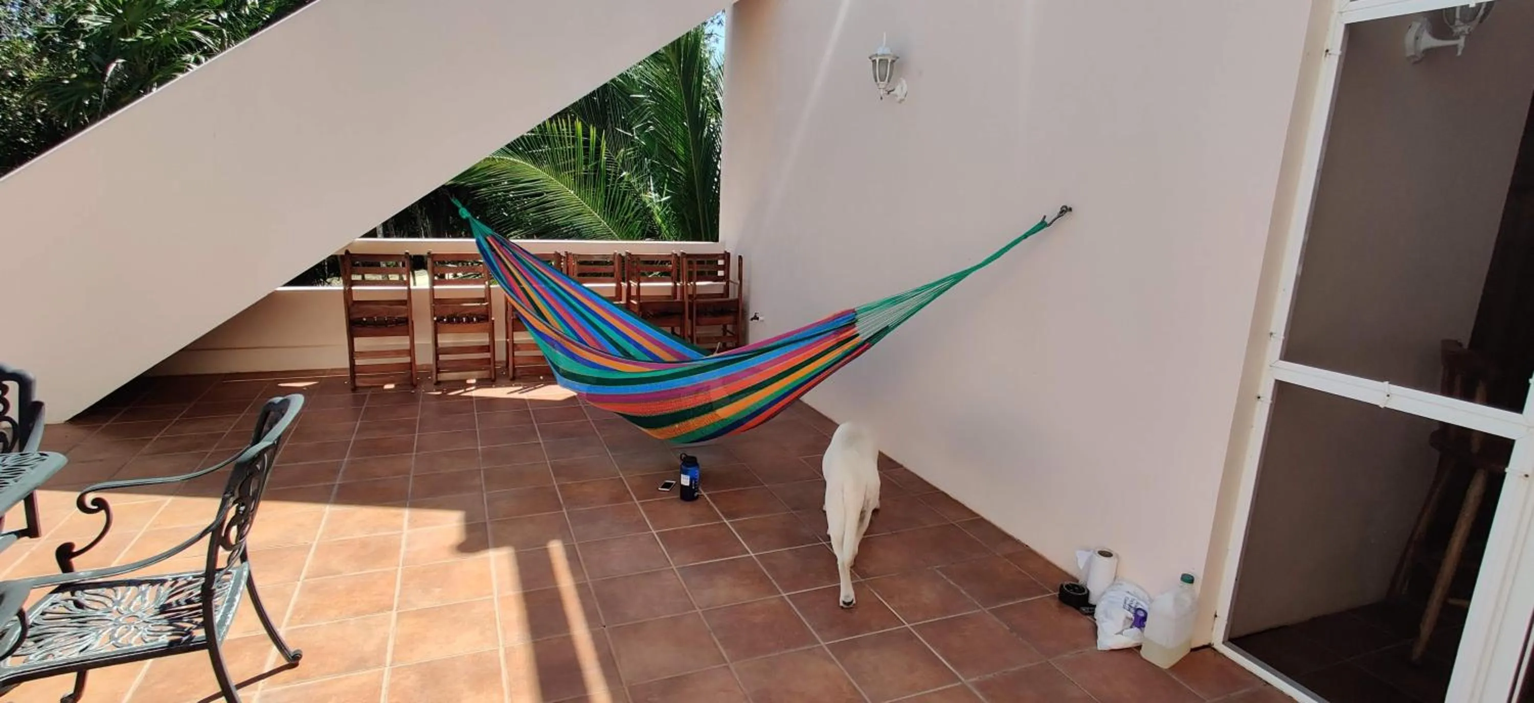 Patio in The Crimson Orchid Inn at Orchid Bay