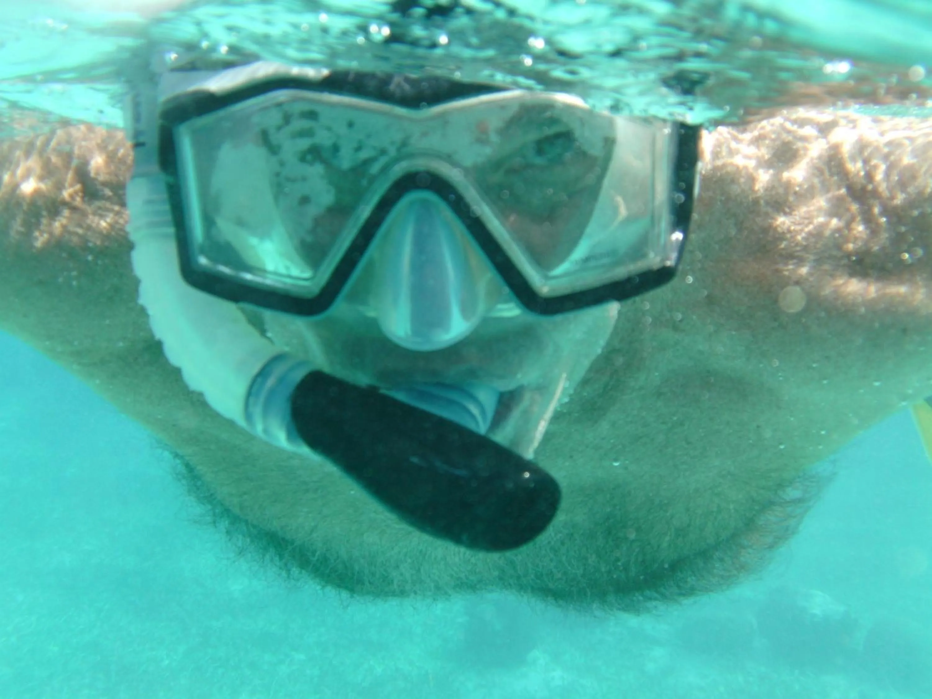Diving in The Crimson Orchid Inn at Orchid Bay