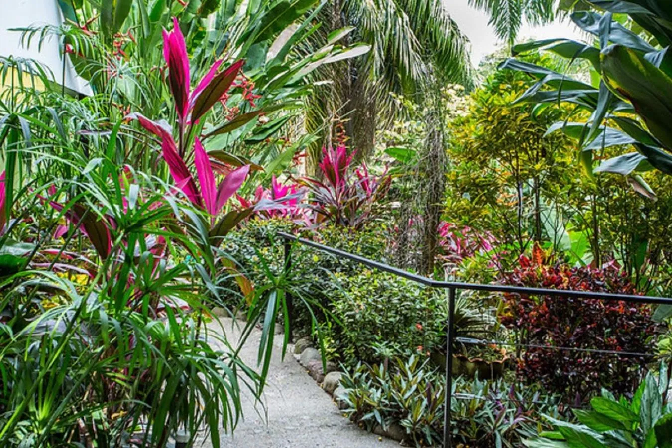 Natural landscape in Tico Tico Villas - Adult Only