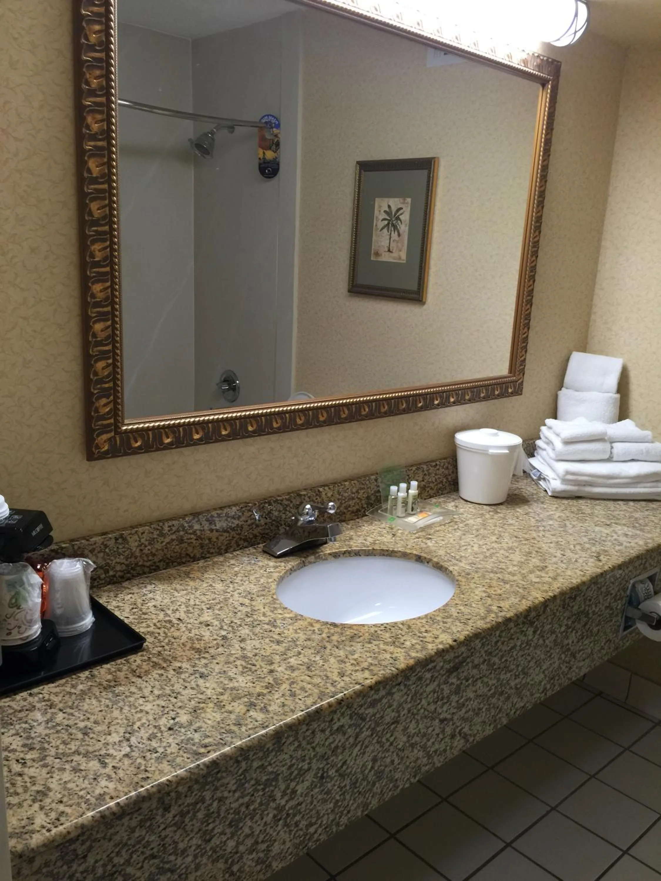 Bathroom in Holiday Inn Lumberton by IHG