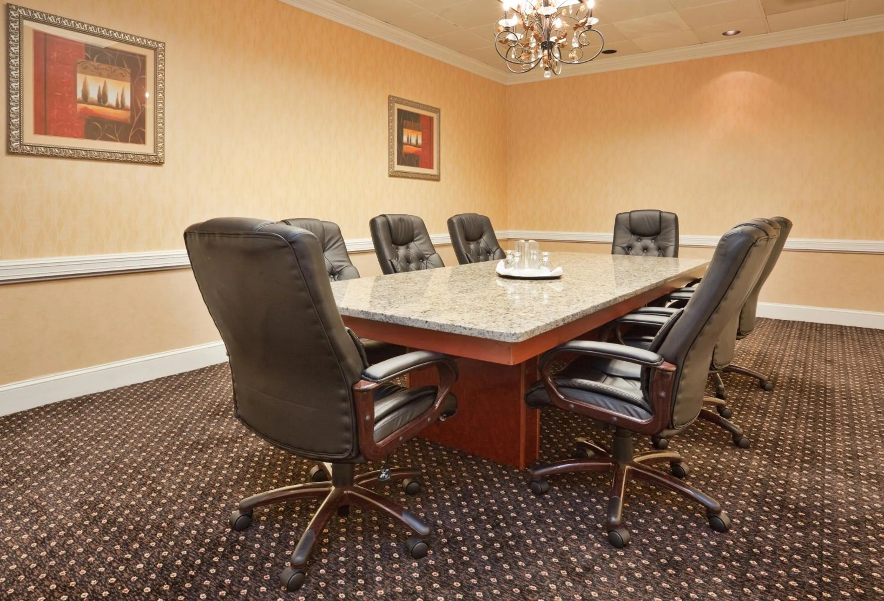 Meeting/conference room in Holiday Inn Lumberton by IHG