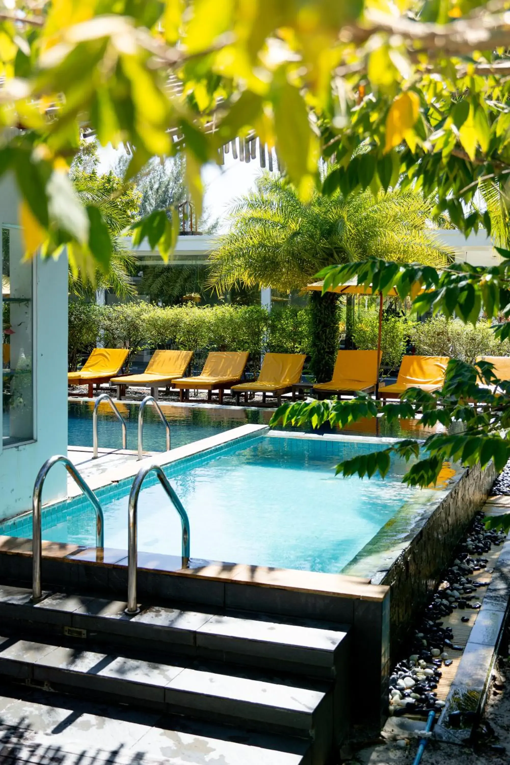 Swimming pool in Long Set Resort Swimming pool in Long Set Resort