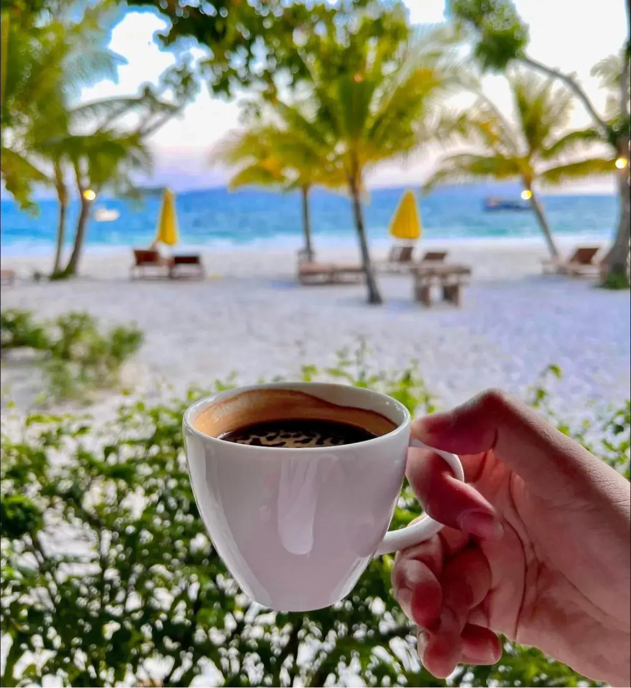 Restaurant/places to eat in Long Set Resort Restaurant/places to eat in Long Set Resort