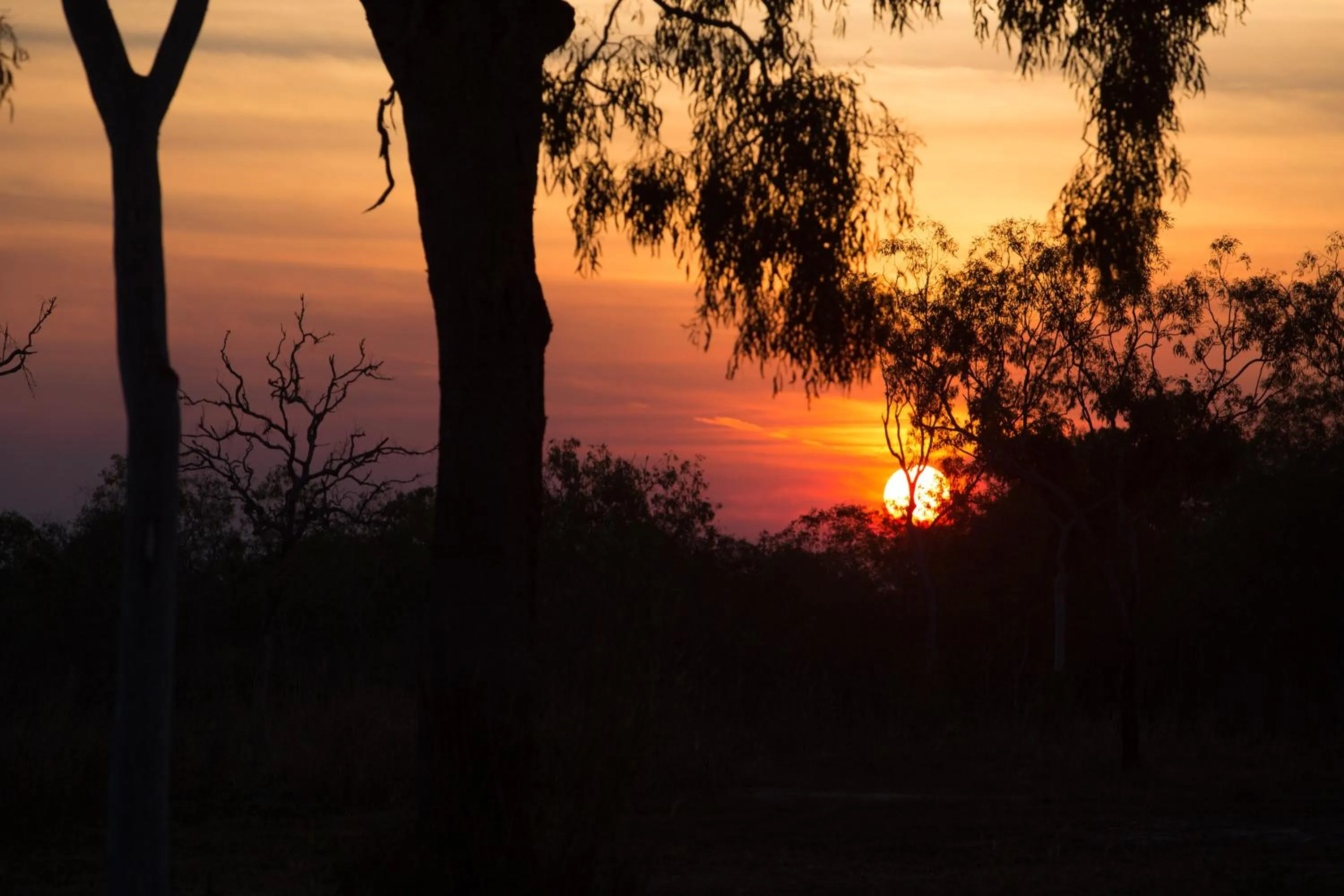 Garden view in AAOK Lakes Resort and Caravan Park