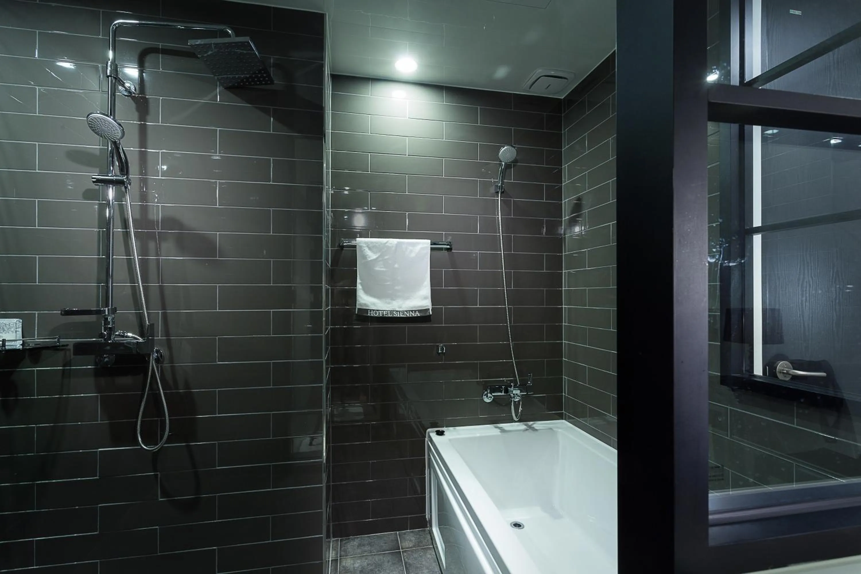 Shower in Hotel Sienna