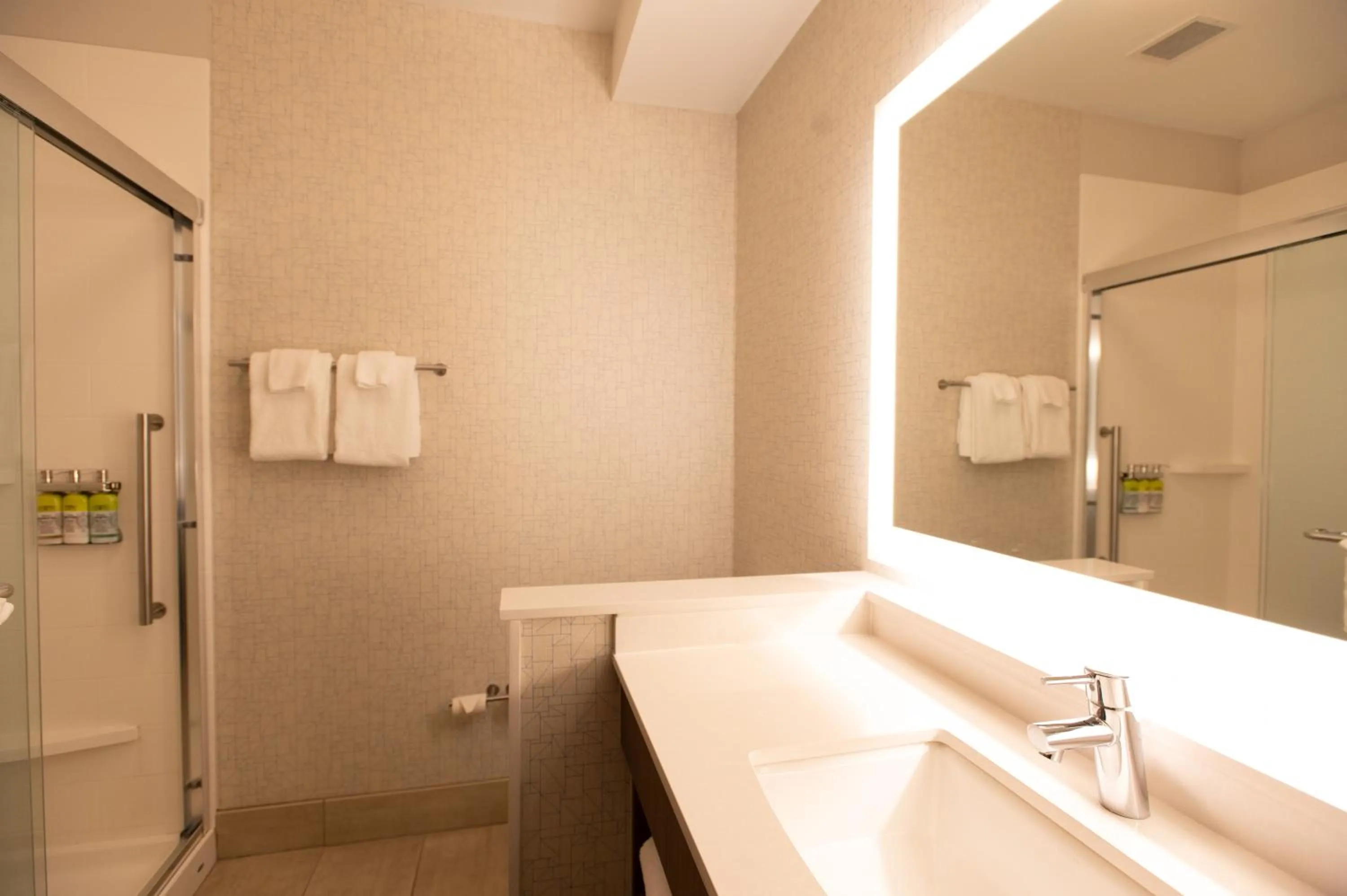 Bathroom in Holiday Inn Express Houghton-Keweenaw by IHG