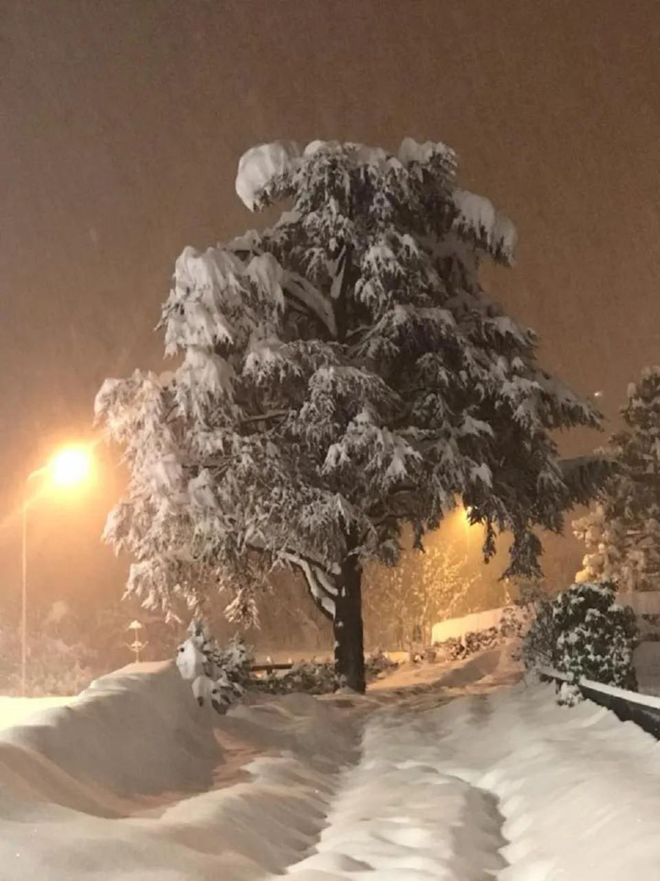 Garden view in Hotel & Restaurant Le Charaban