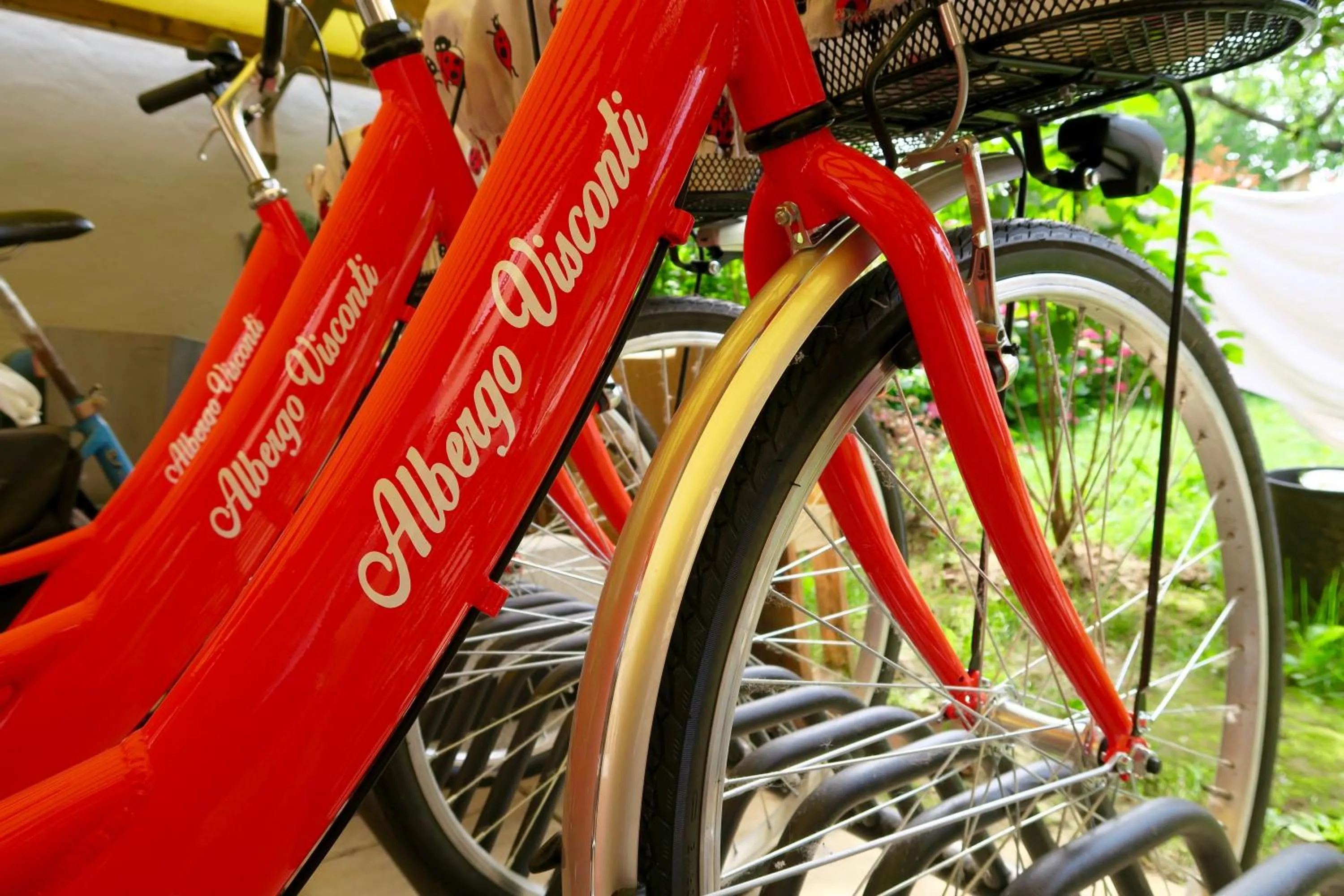 Activities in Albergo Visconti