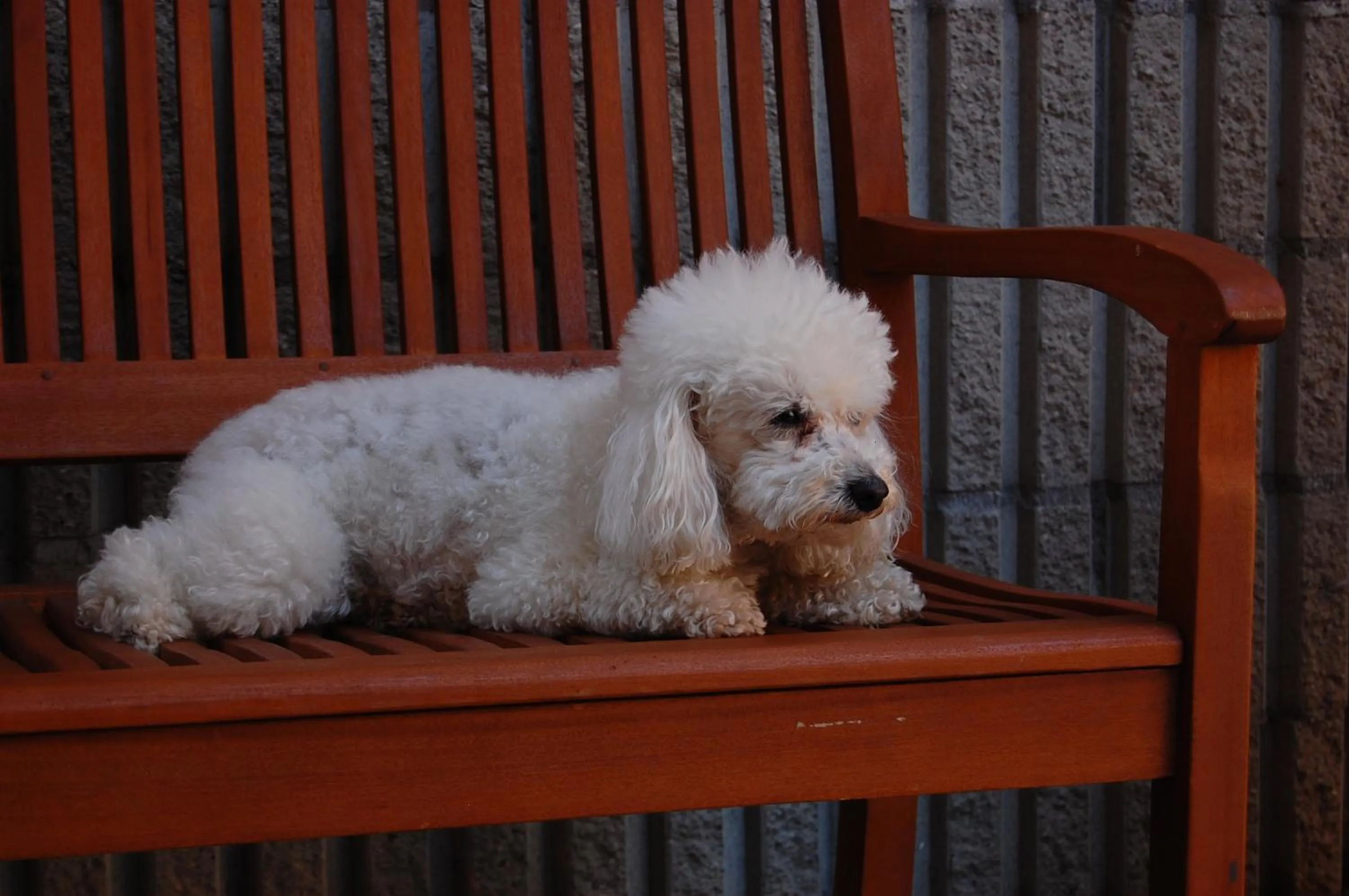 Other in Albergo Visconti