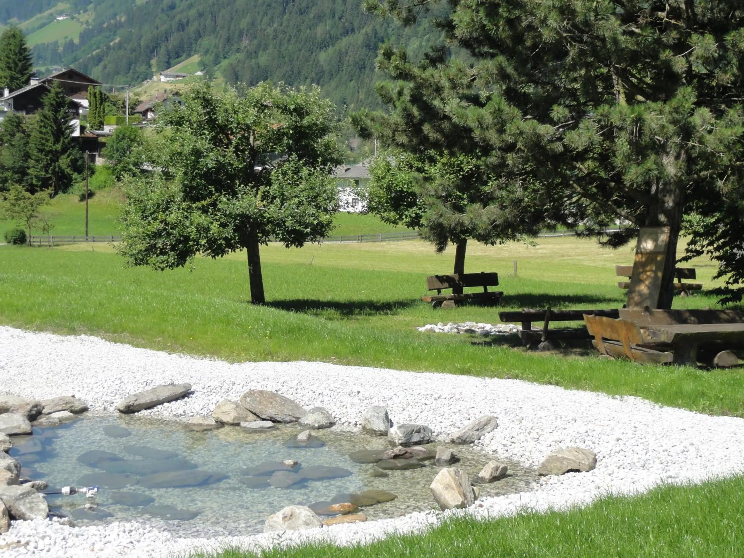 Area and facilities in Hotel Steuxner