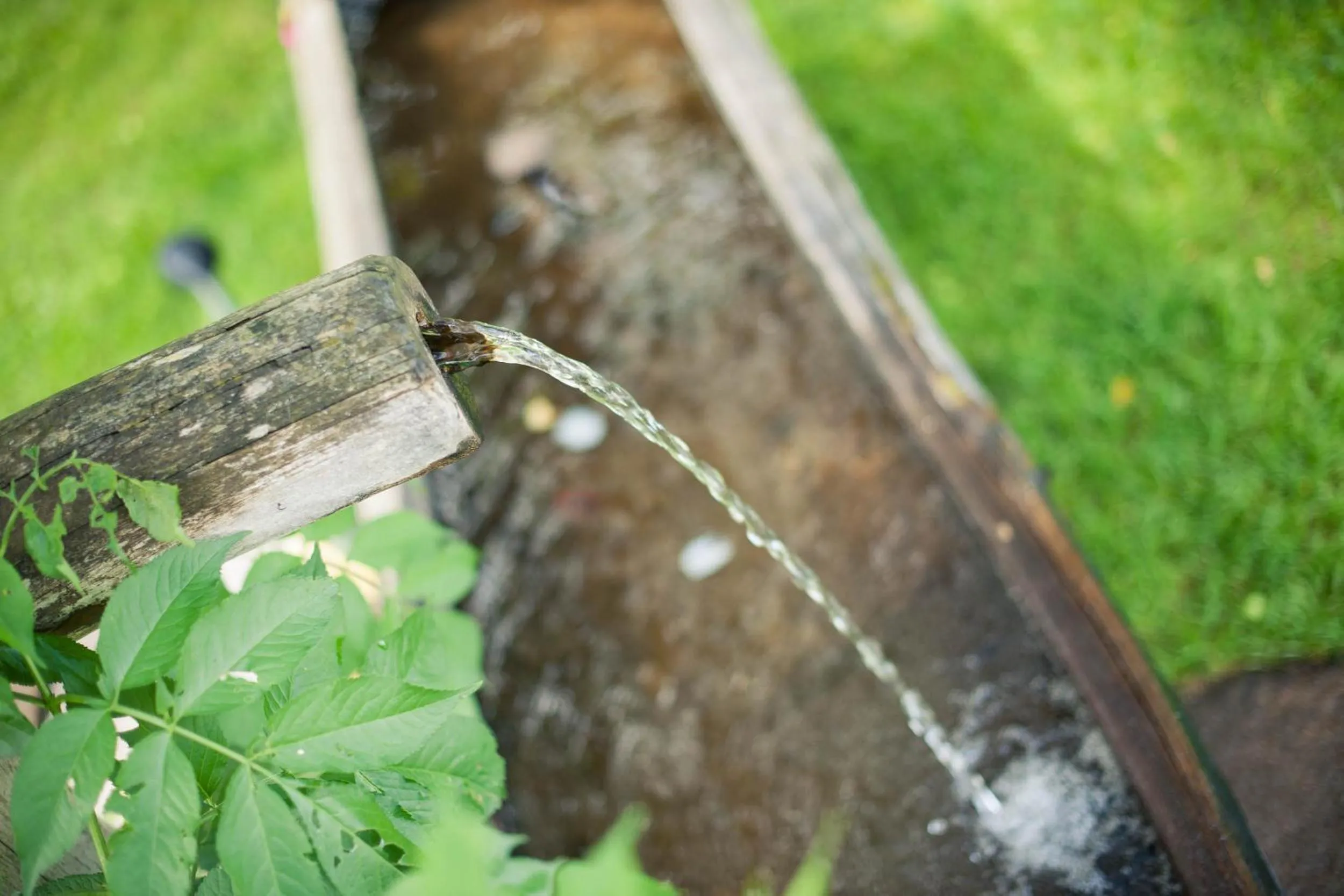 Other in Hotel Steuxner