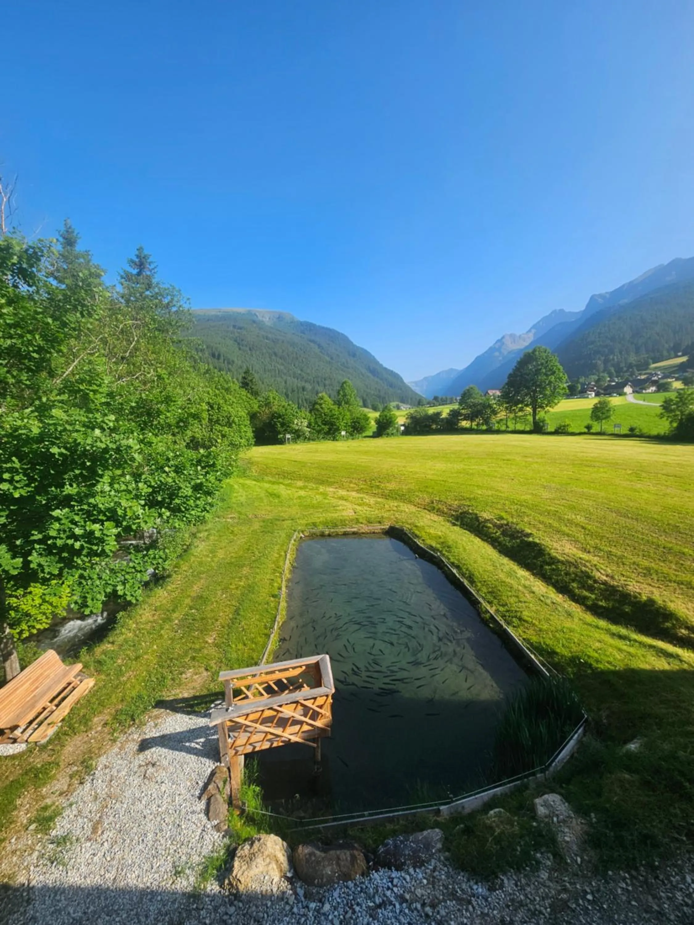 Natural landscape in Landhotel Lacknerhof