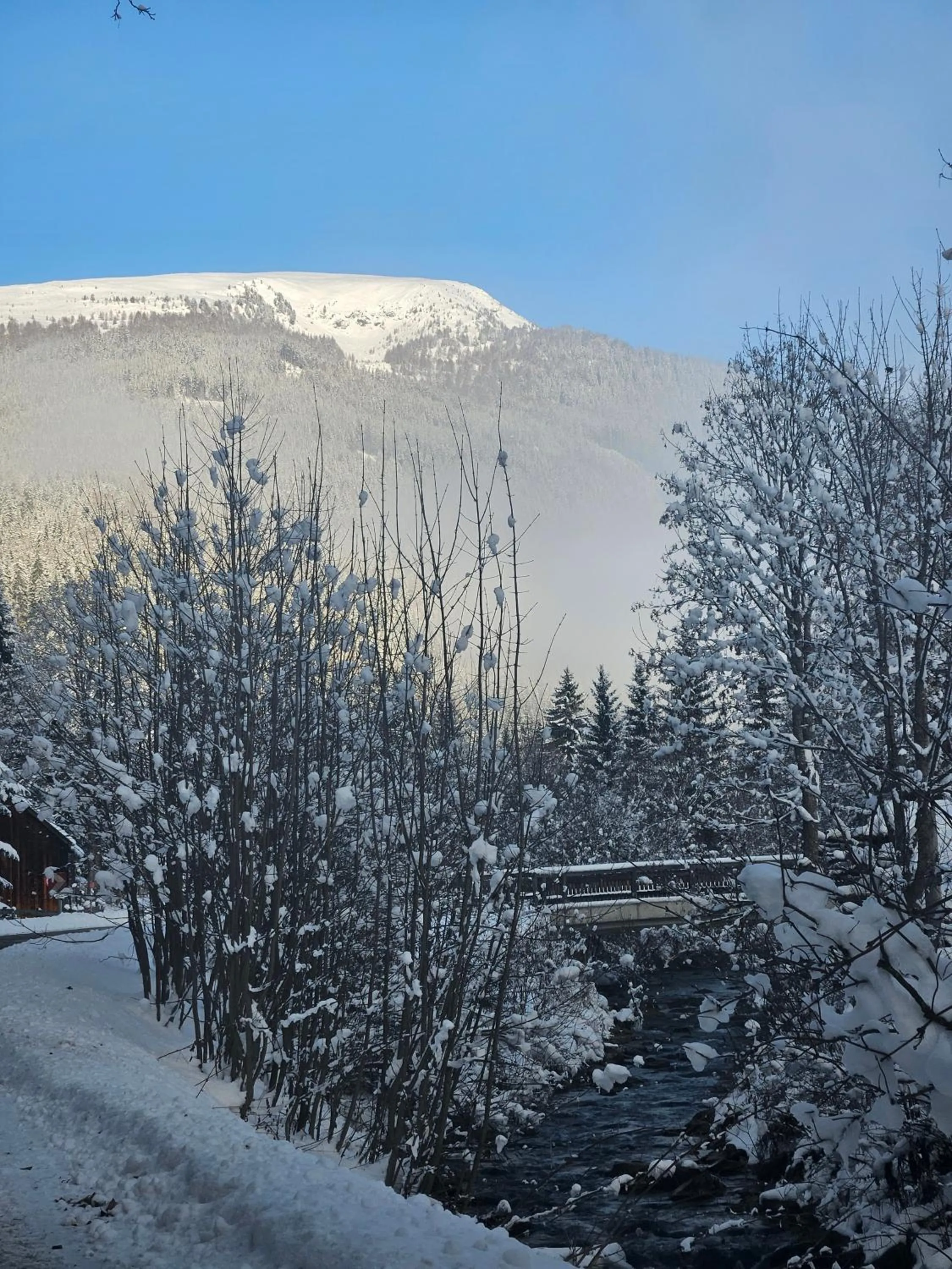 Mountain view in Landhotel Lacknerhof