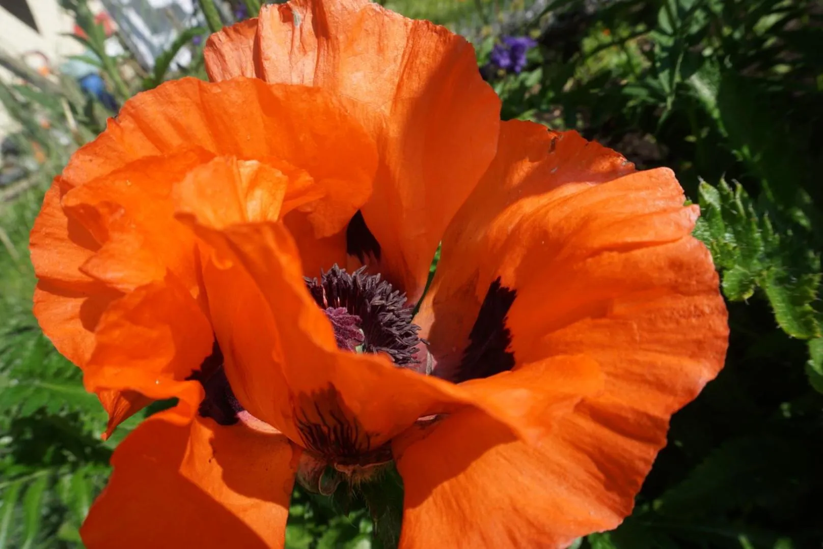 Spring in Landhotel Lacknerhof
