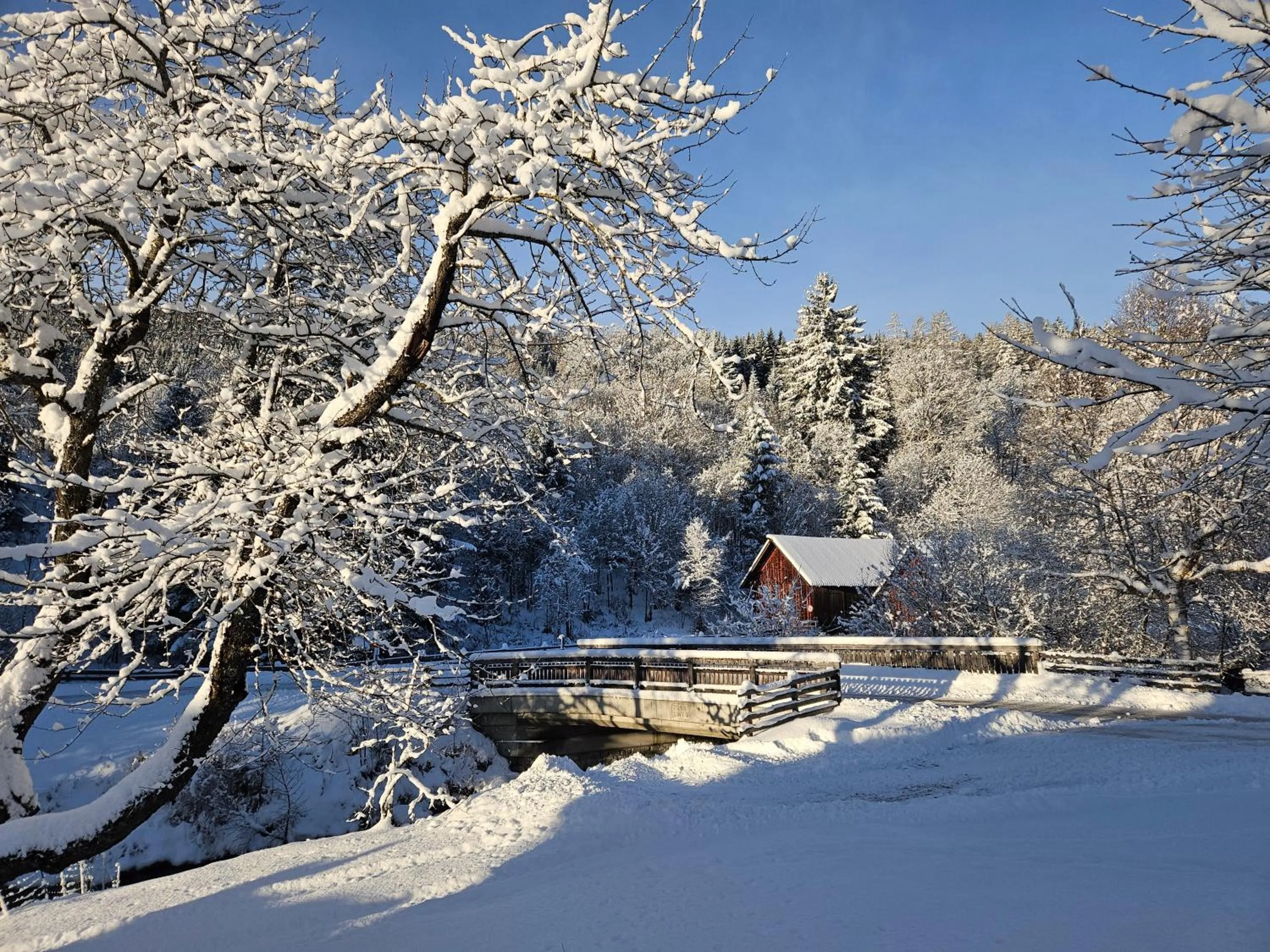 Natural landscape in Landhotel Lacknerhof