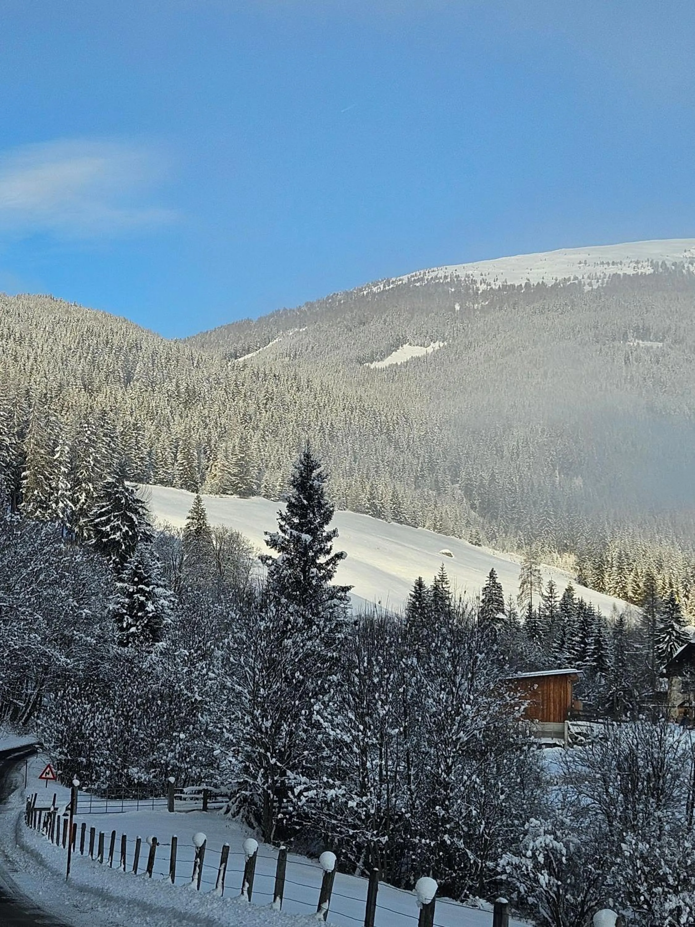 Mountain view in Landhotel Lacknerhof