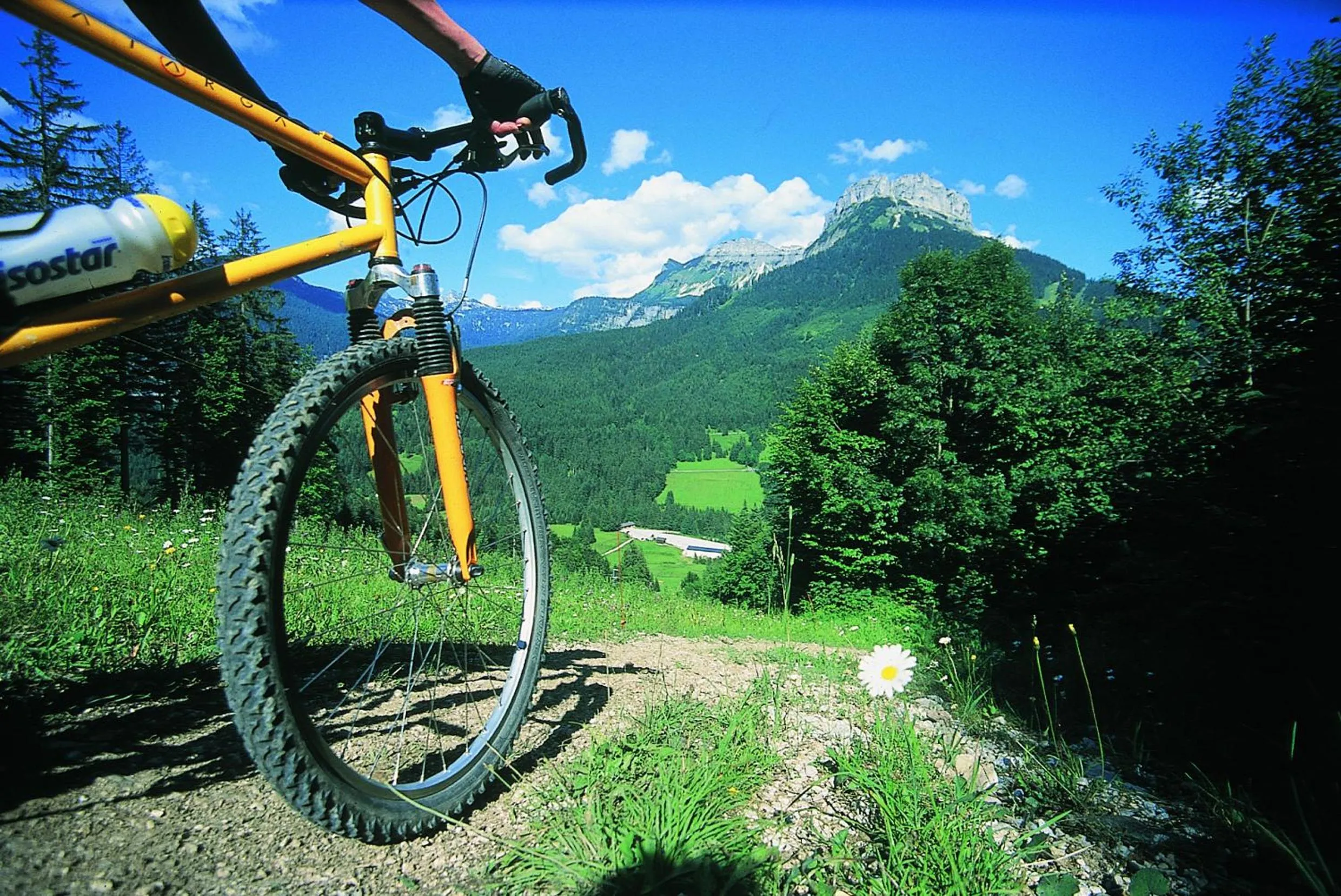 Activities in Landhotel Lacknerhof