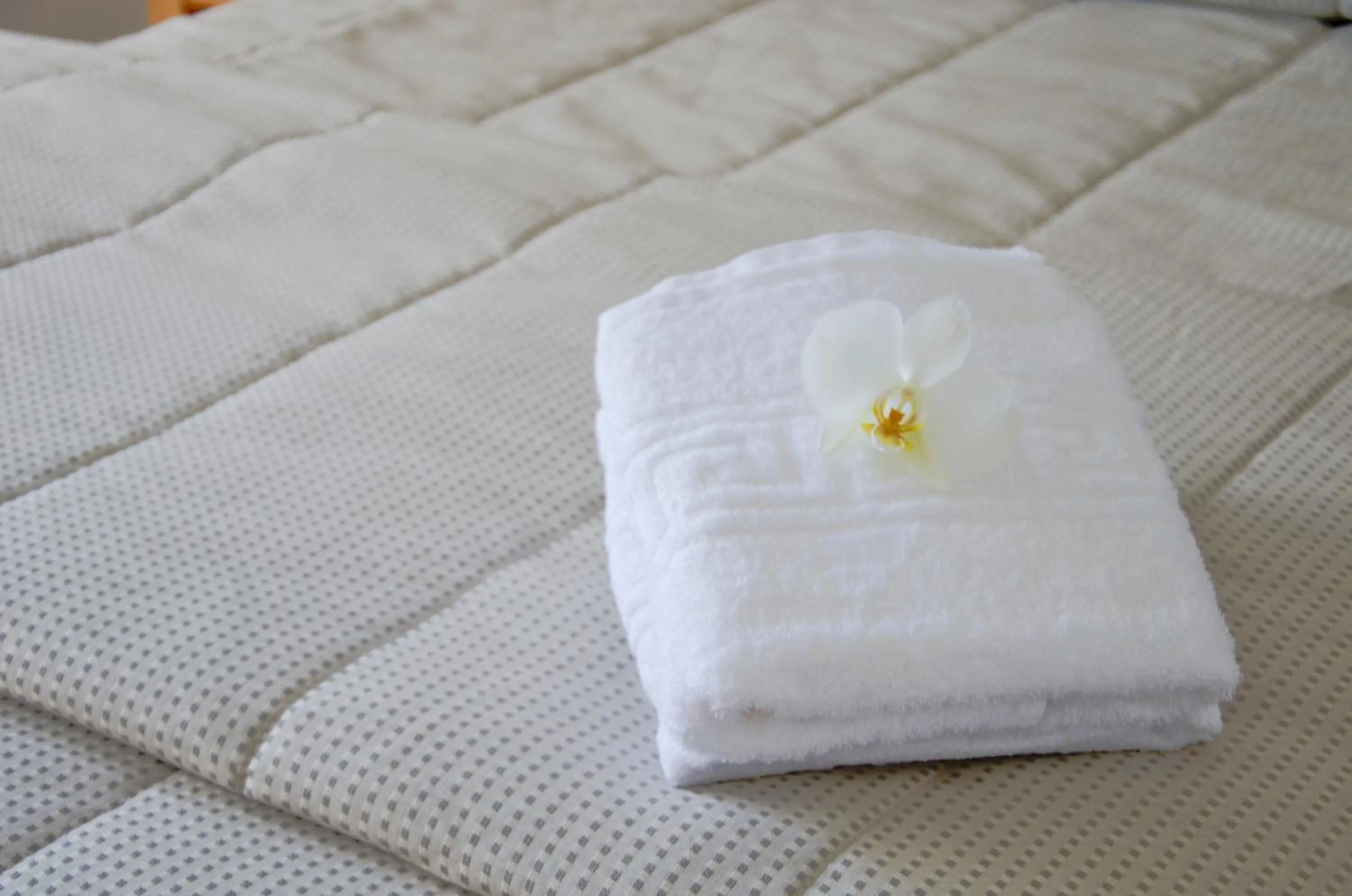 Decorative detail, Bed in Athena Hotel