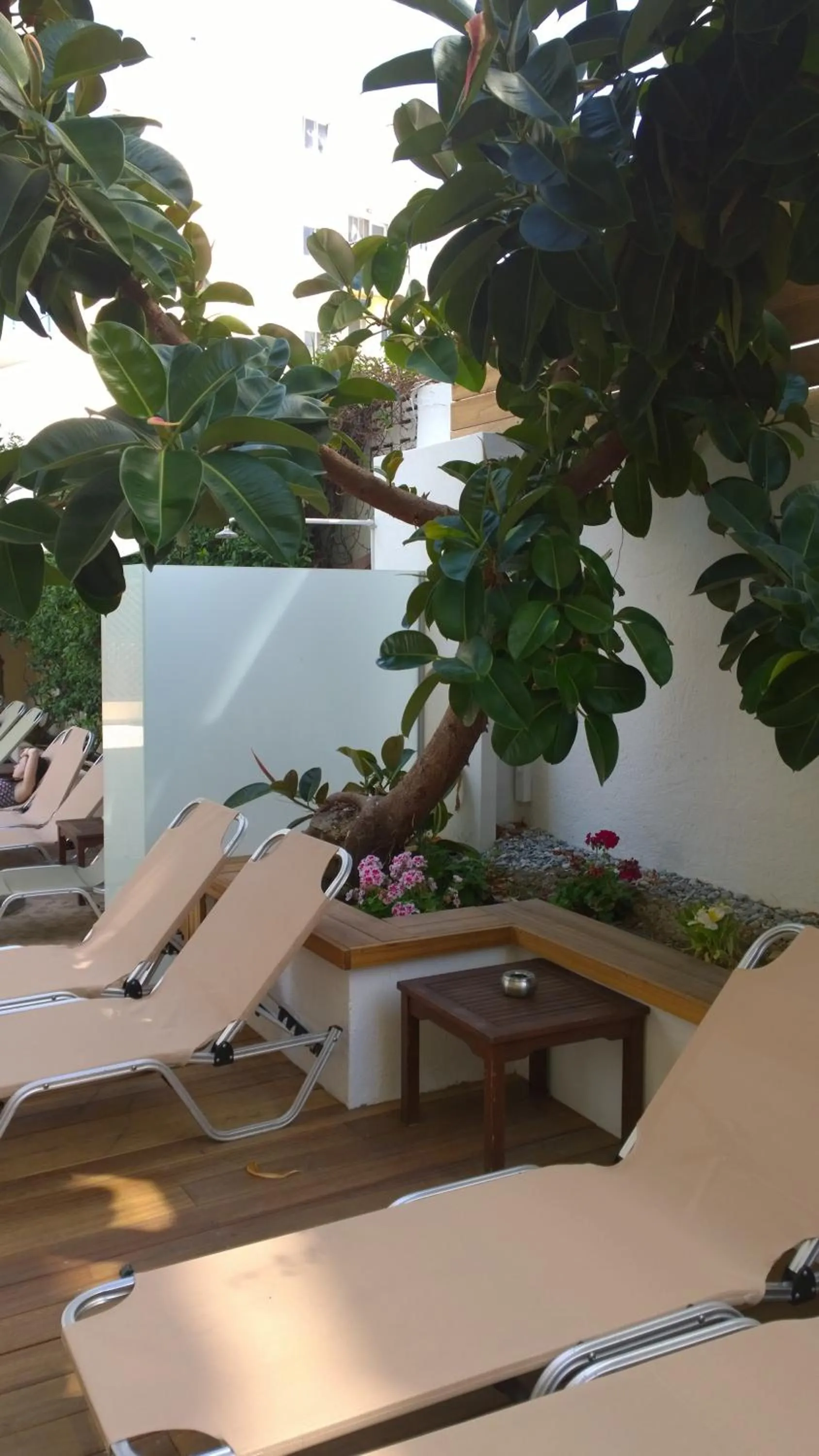 Garden in Athena Hotel