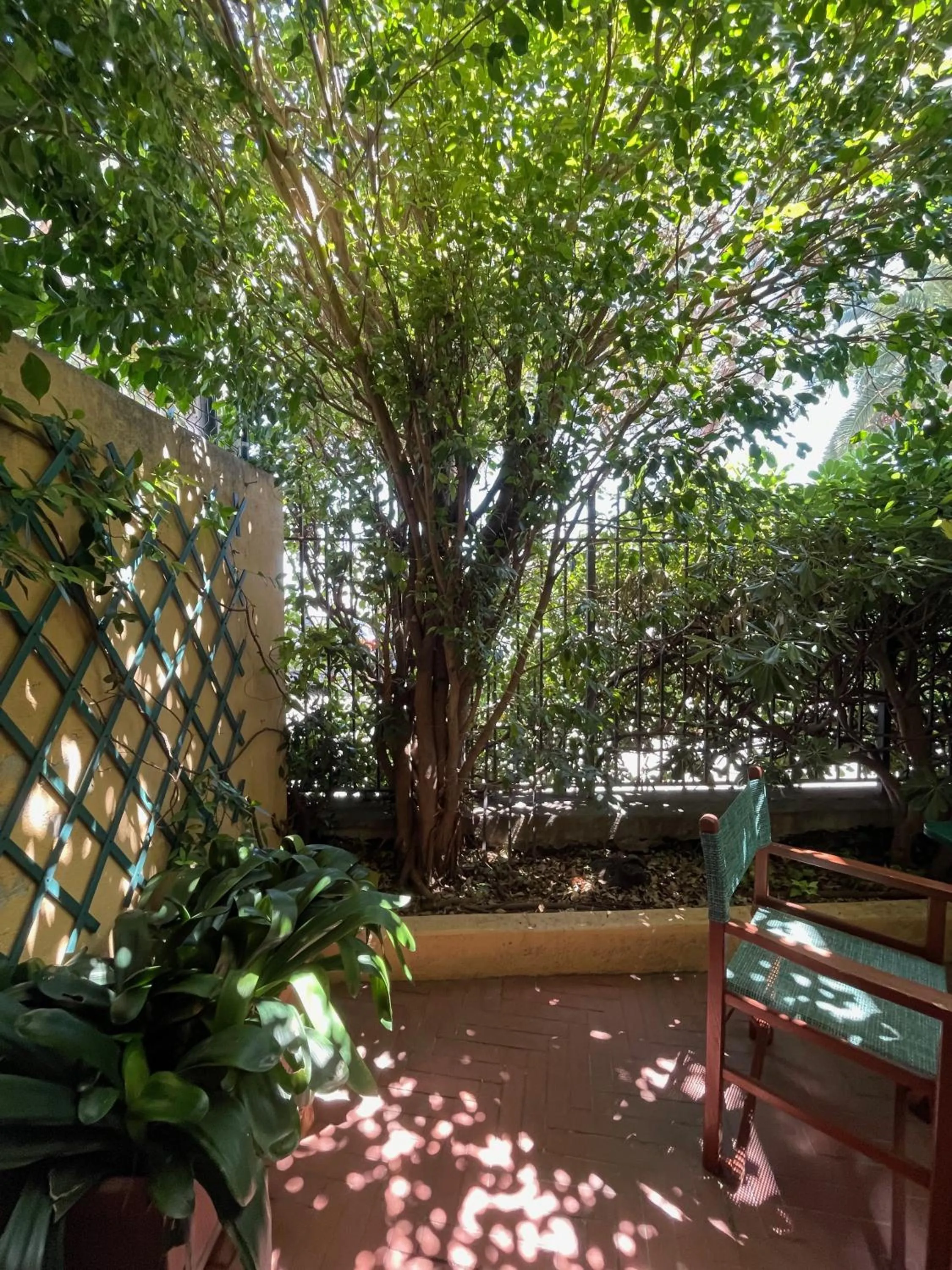 Garden in Hotel Beau Rivage