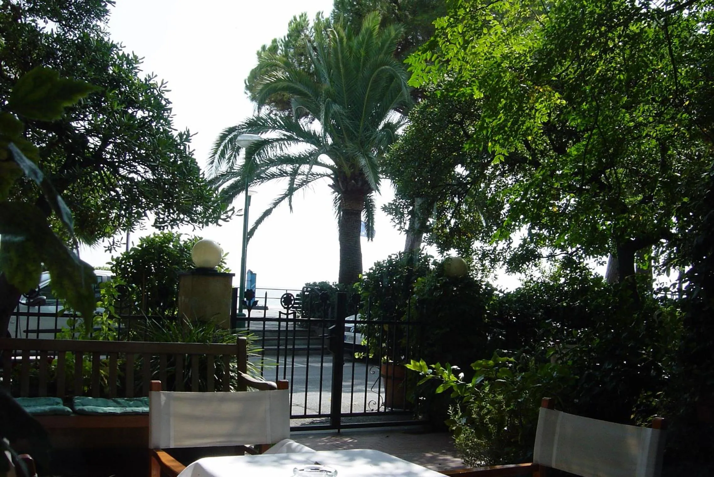 Garden in Hotel Beau Rivage