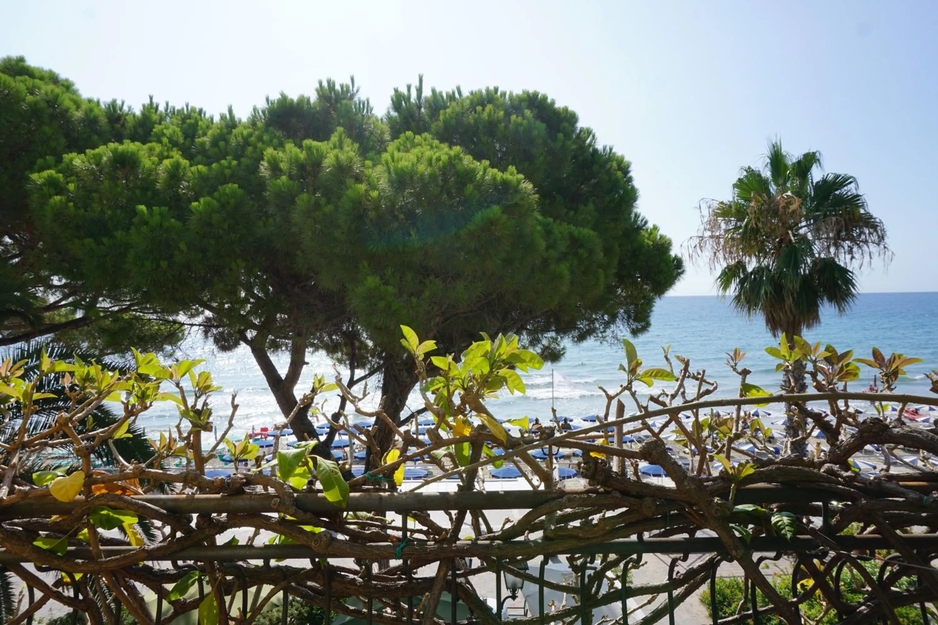 Sea view in Hotel Beau Rivage