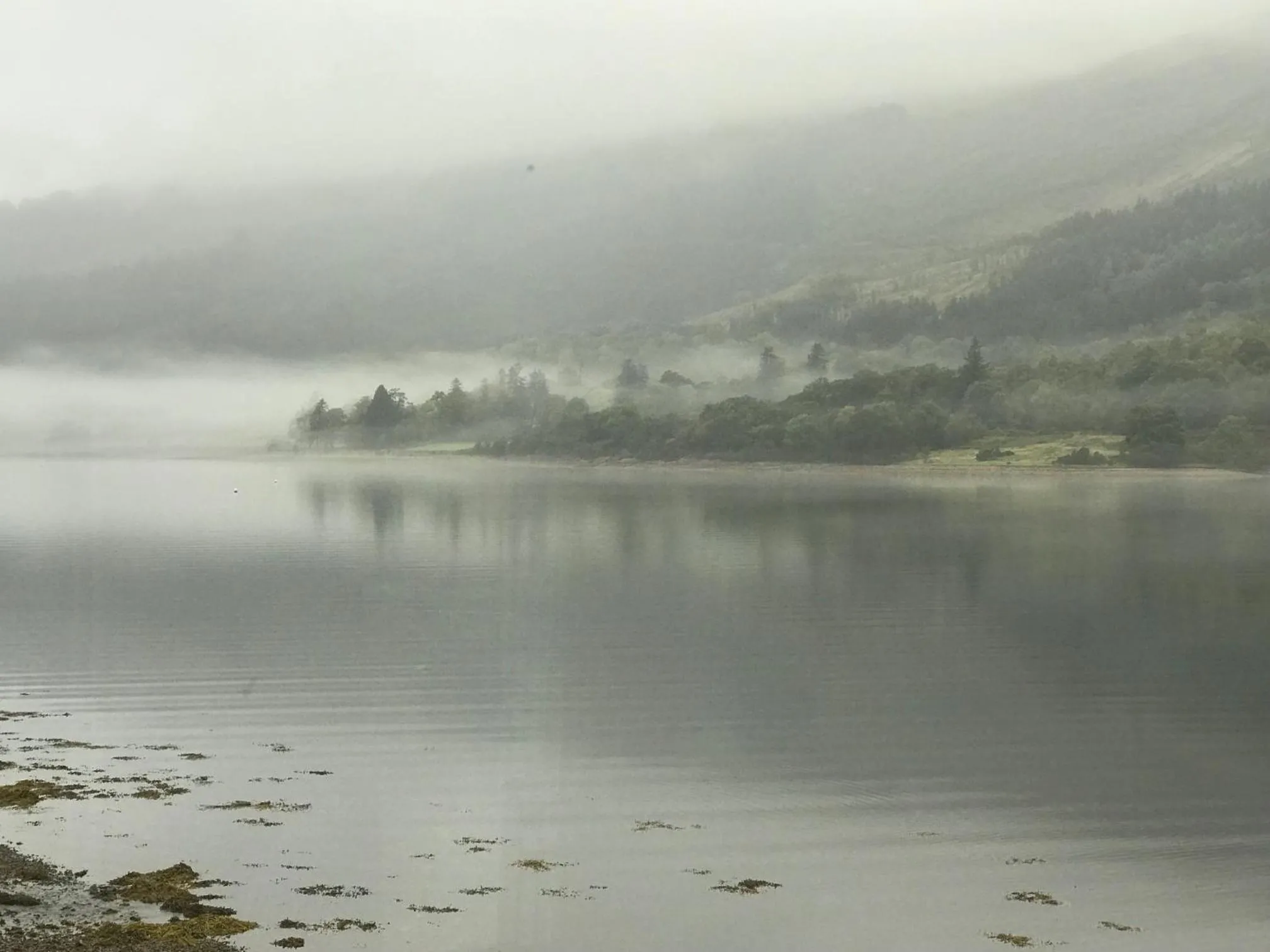 The Boathouse