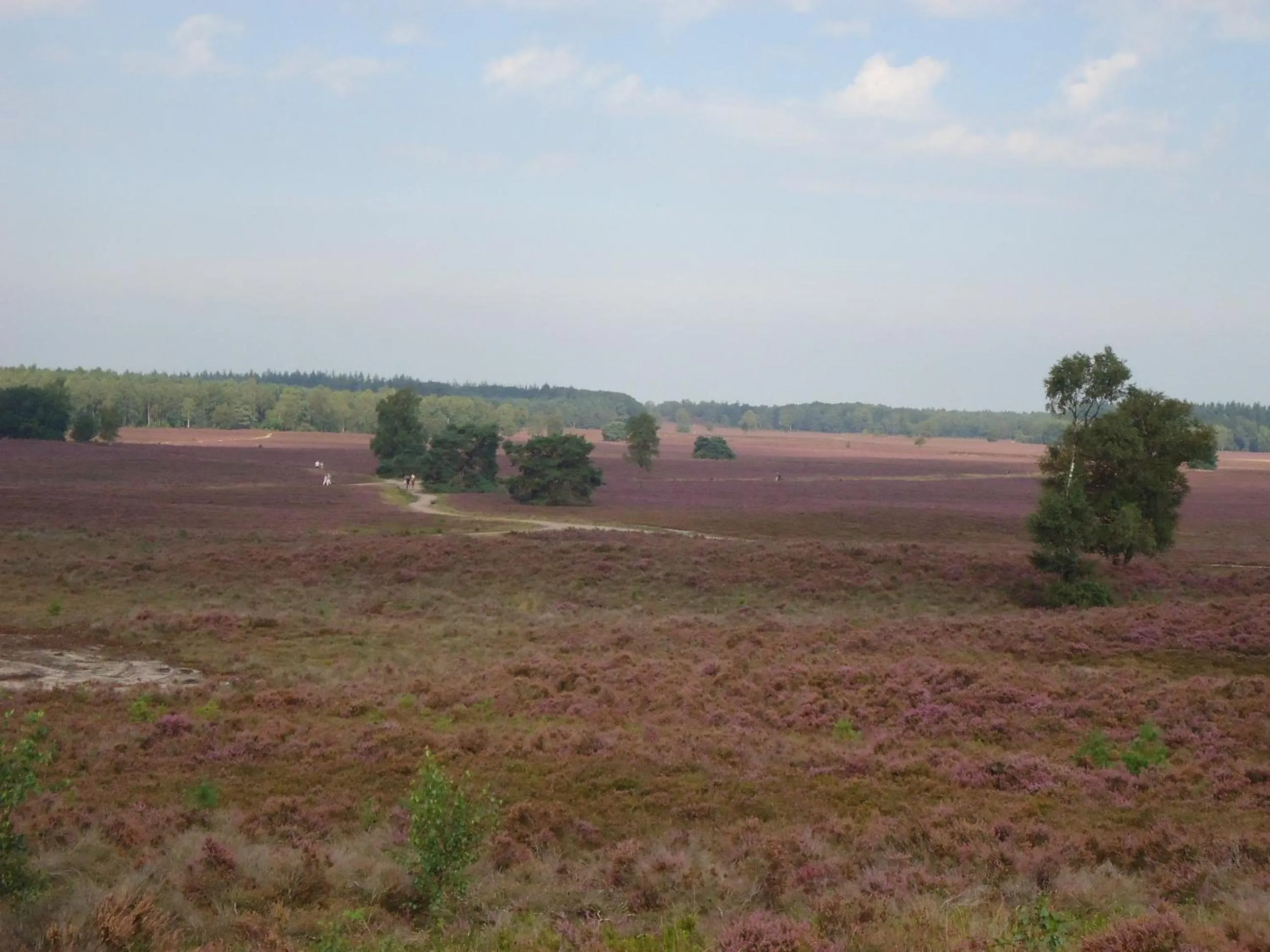 Natural landscape in Bed & Breakfast El Manso