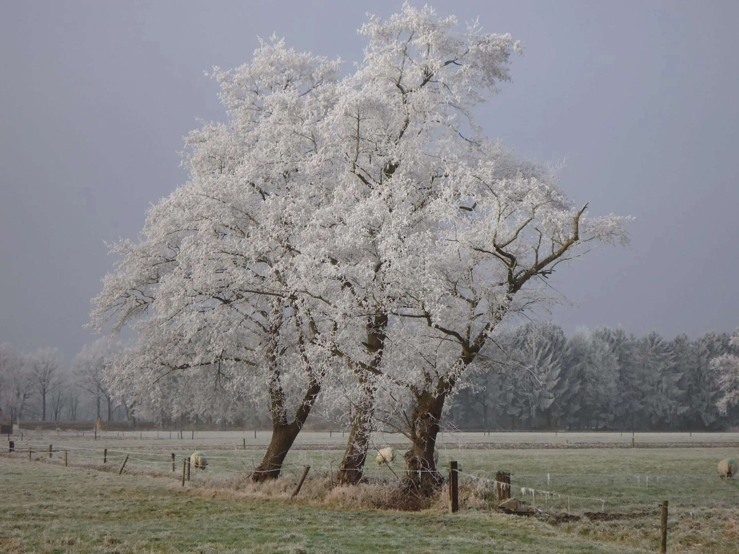Natural landscape in Bed & Breakfast El Manso