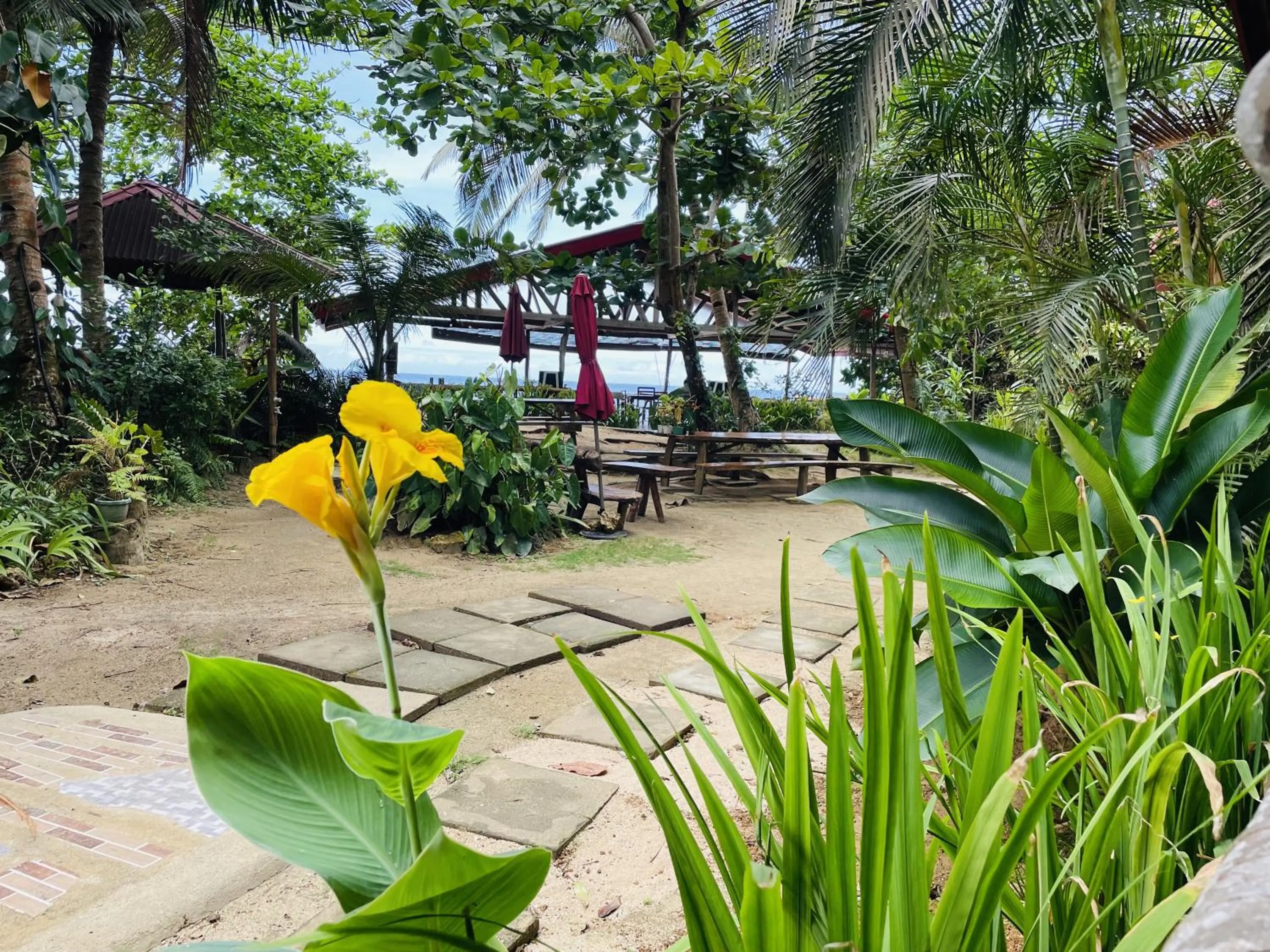 Natural landscape in White Beach Front and Cottages
