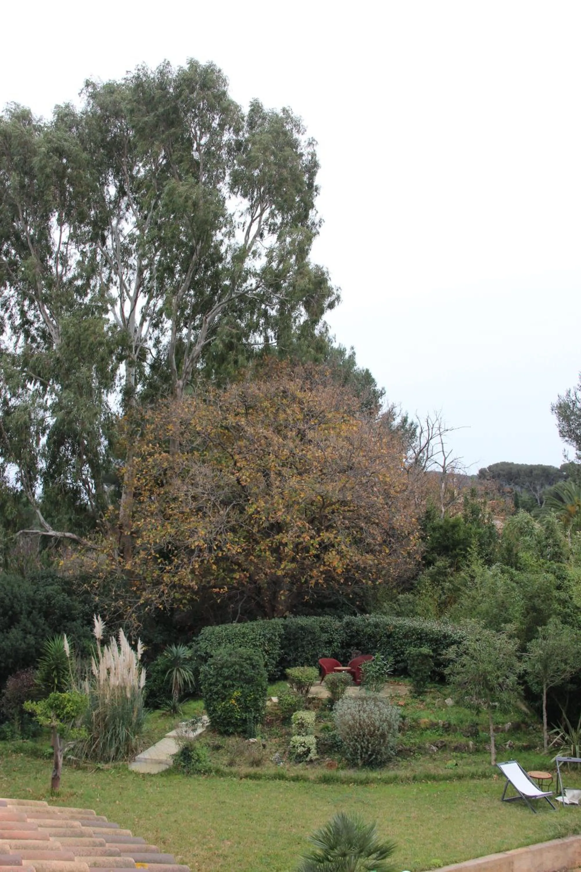Garden in La Bastide du Bouchou