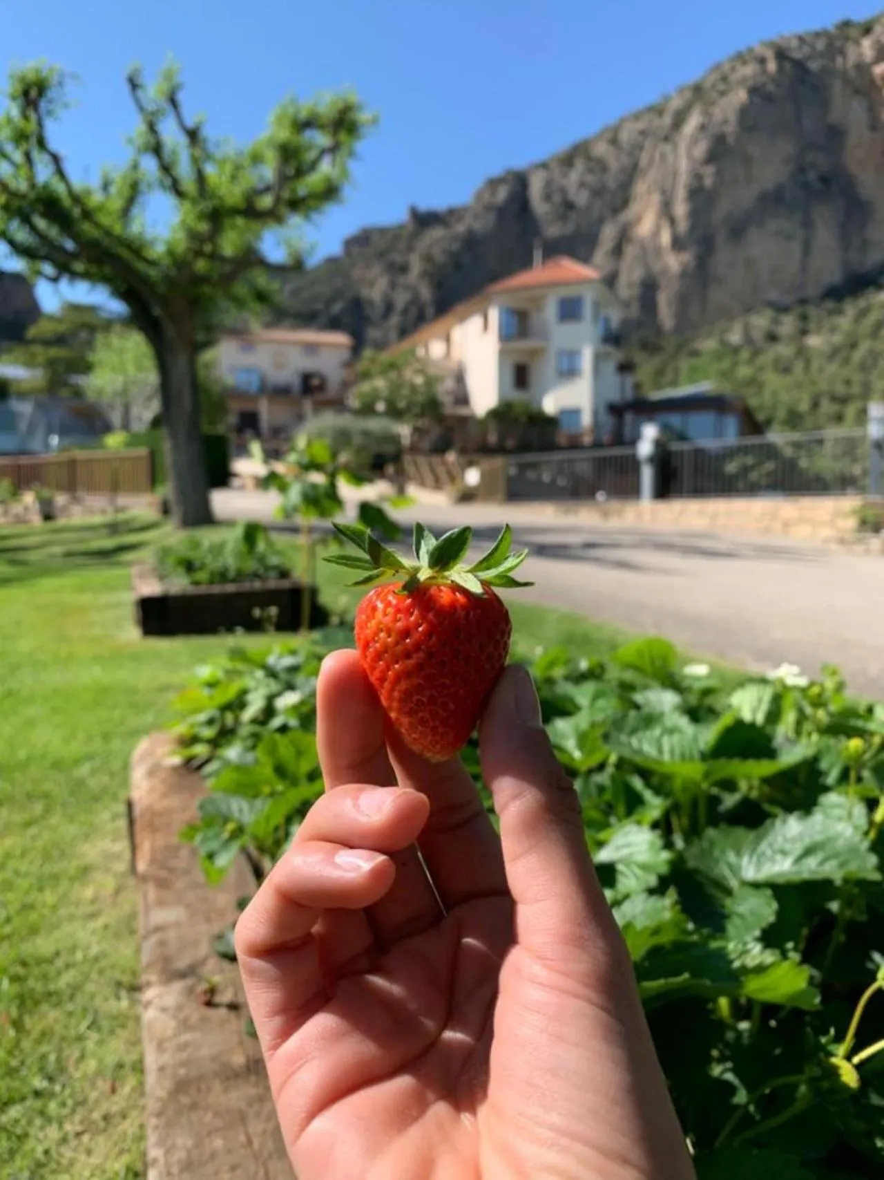 Garden in Hotel Can Boix de Peramola
