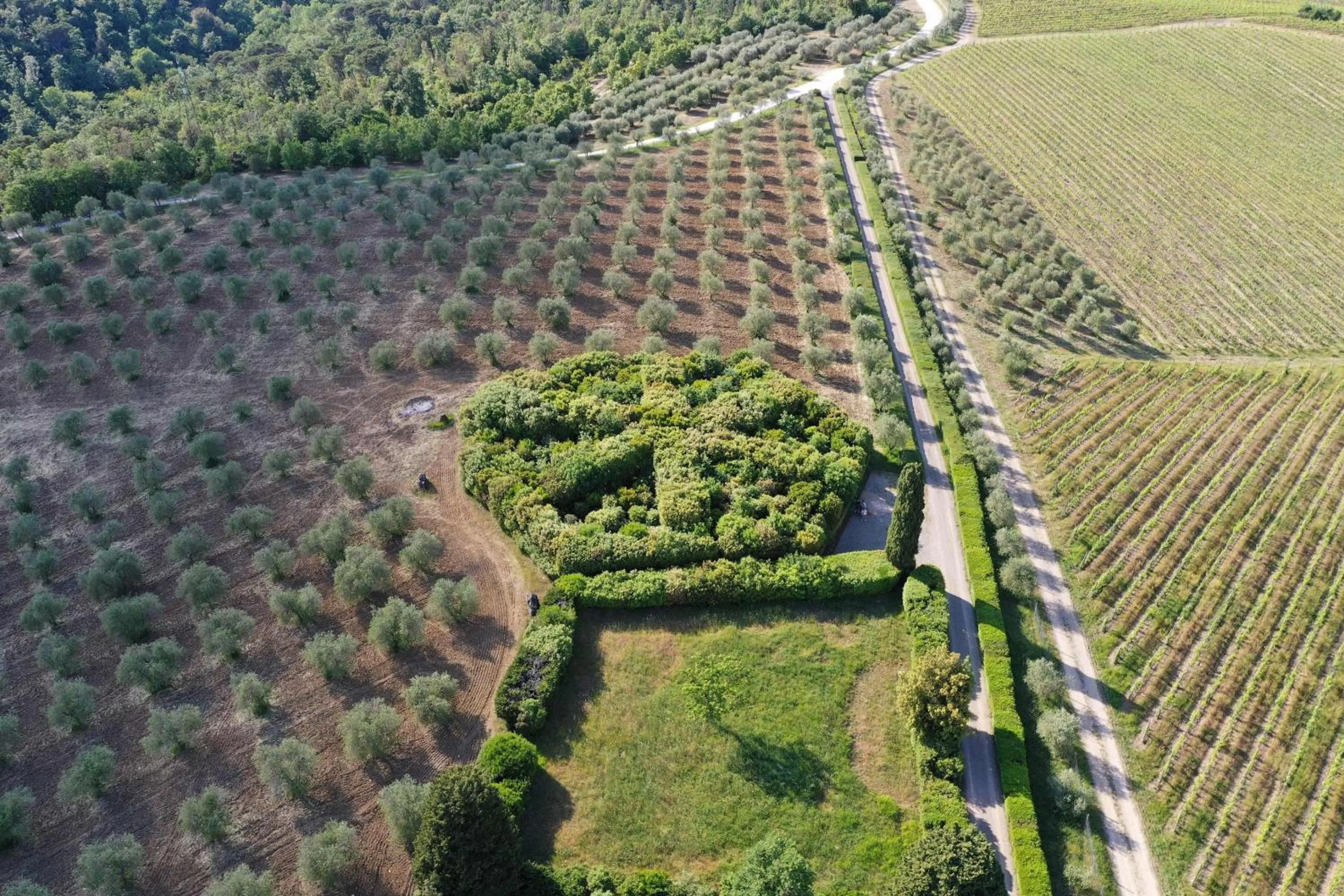Bird's eye view in Borgo Scopeto Wine & Country Relais