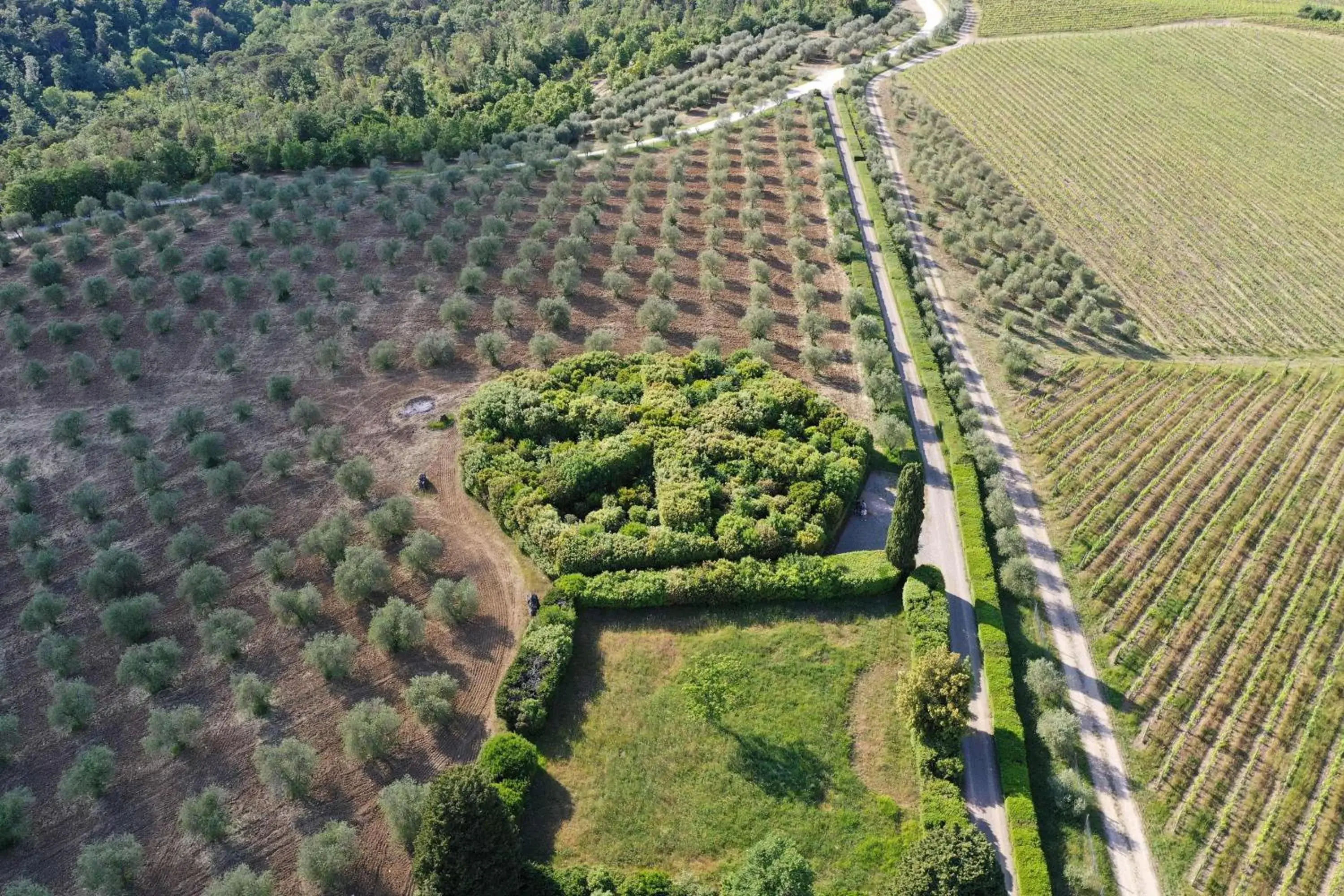 Bird's eye view in Borgo Scopeto Wine & Country Relais Bird's eye view in Borgo Scopeto Wine & Country Relais